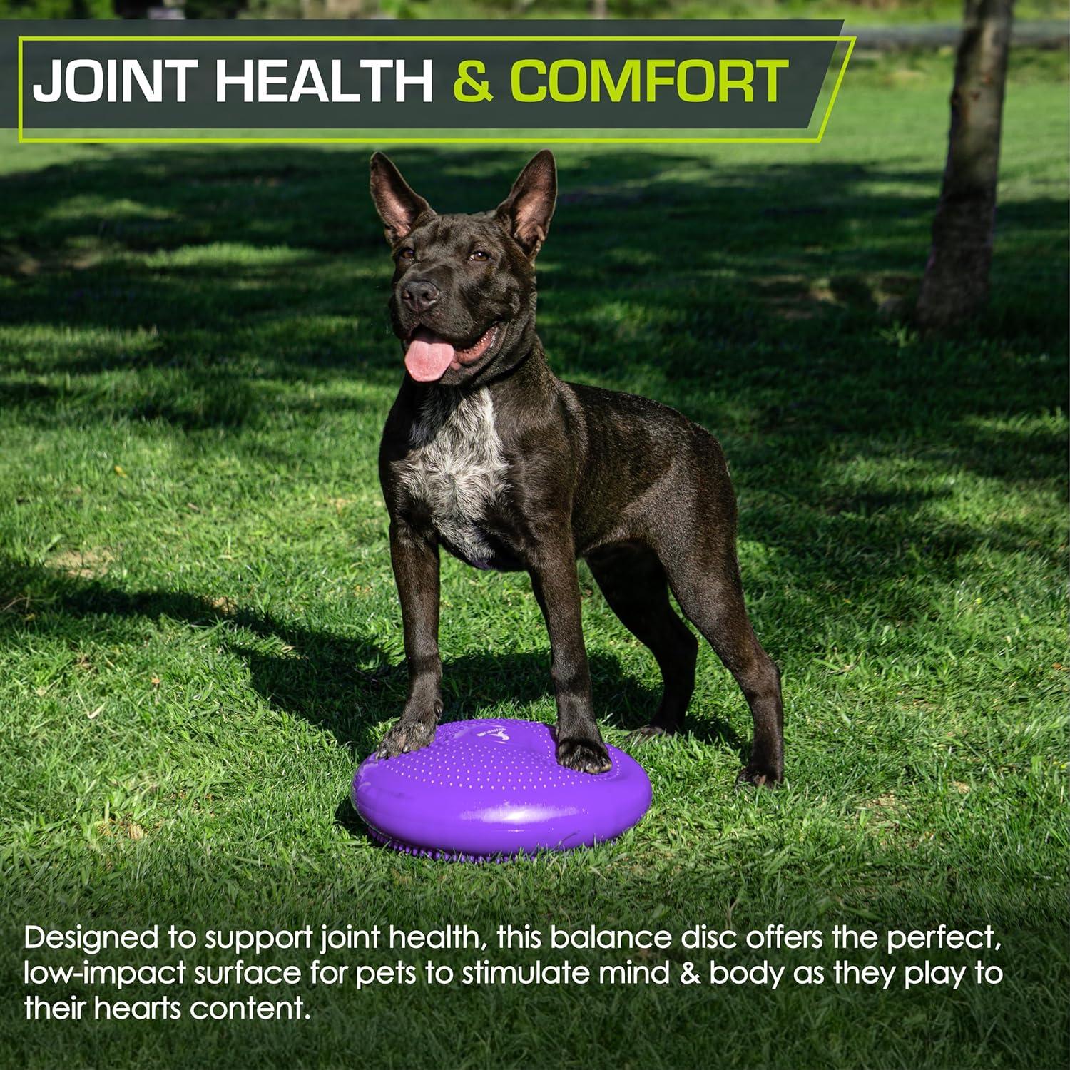 Disco de Equilibrio ProsourceFit 35.56 cm con Bomba - Púrpura