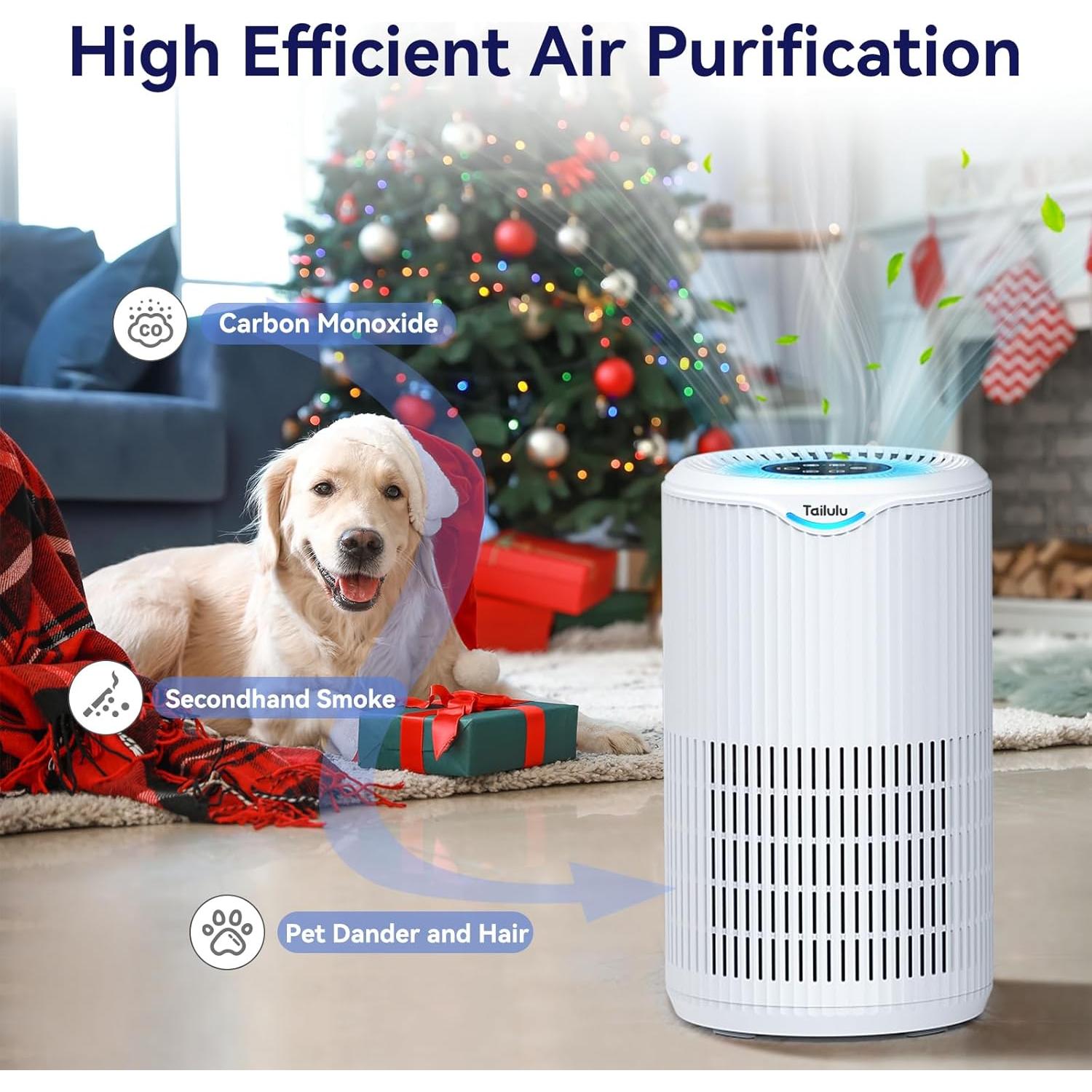 Purificador de Aire Tailulu D09 HEPA 139 m² Silencioso