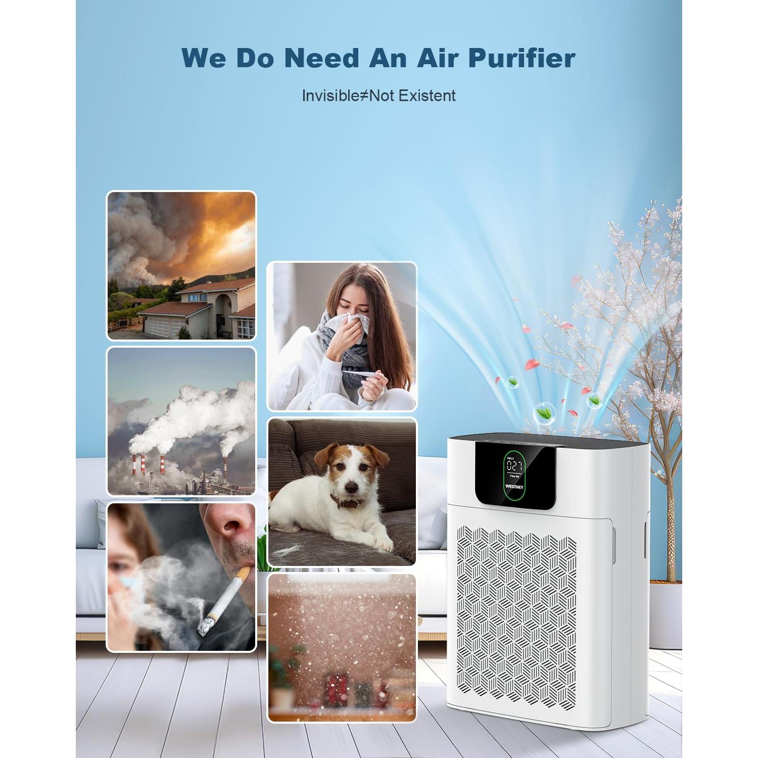 Purificador de Aire HEPA WESTHEY HY4866 para Habitaciones Grandes