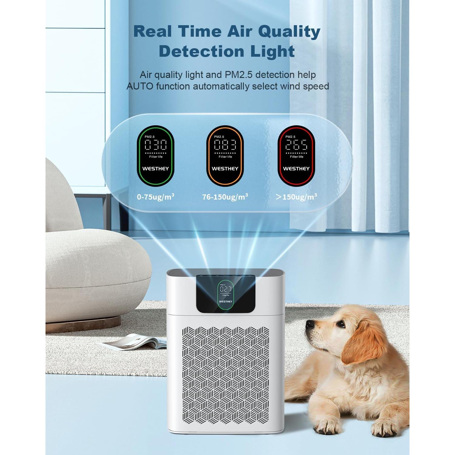 Purificador de Aire HEPA WESTHEY HY4866 para Habitaciones Grandes