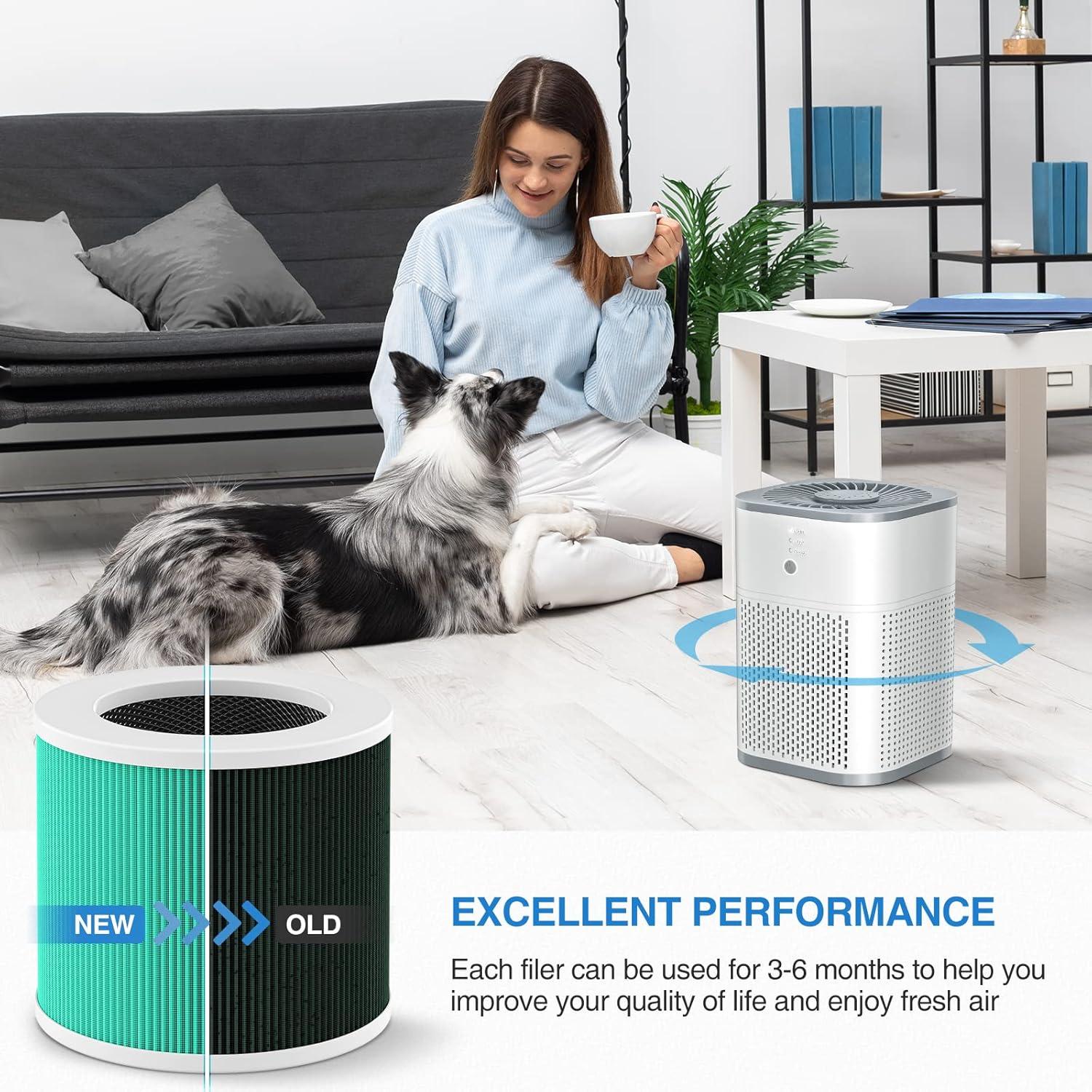 Filtro de Reemplazo HEPA H13 JORAIR HY1800 - 2 Paquete