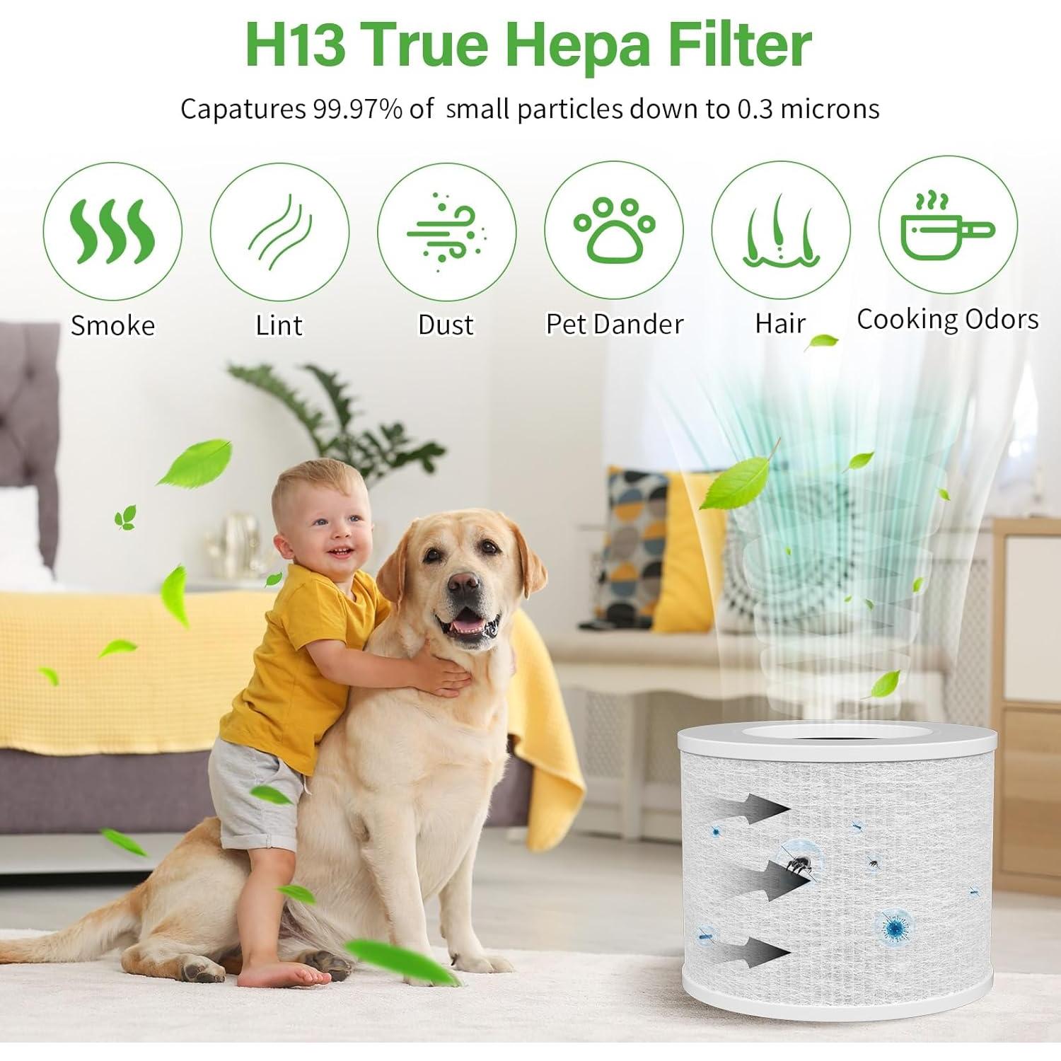 Filtro de Reemplazo HEPA 3-en-1 LEVOIT Core Mini - Paquete de 2