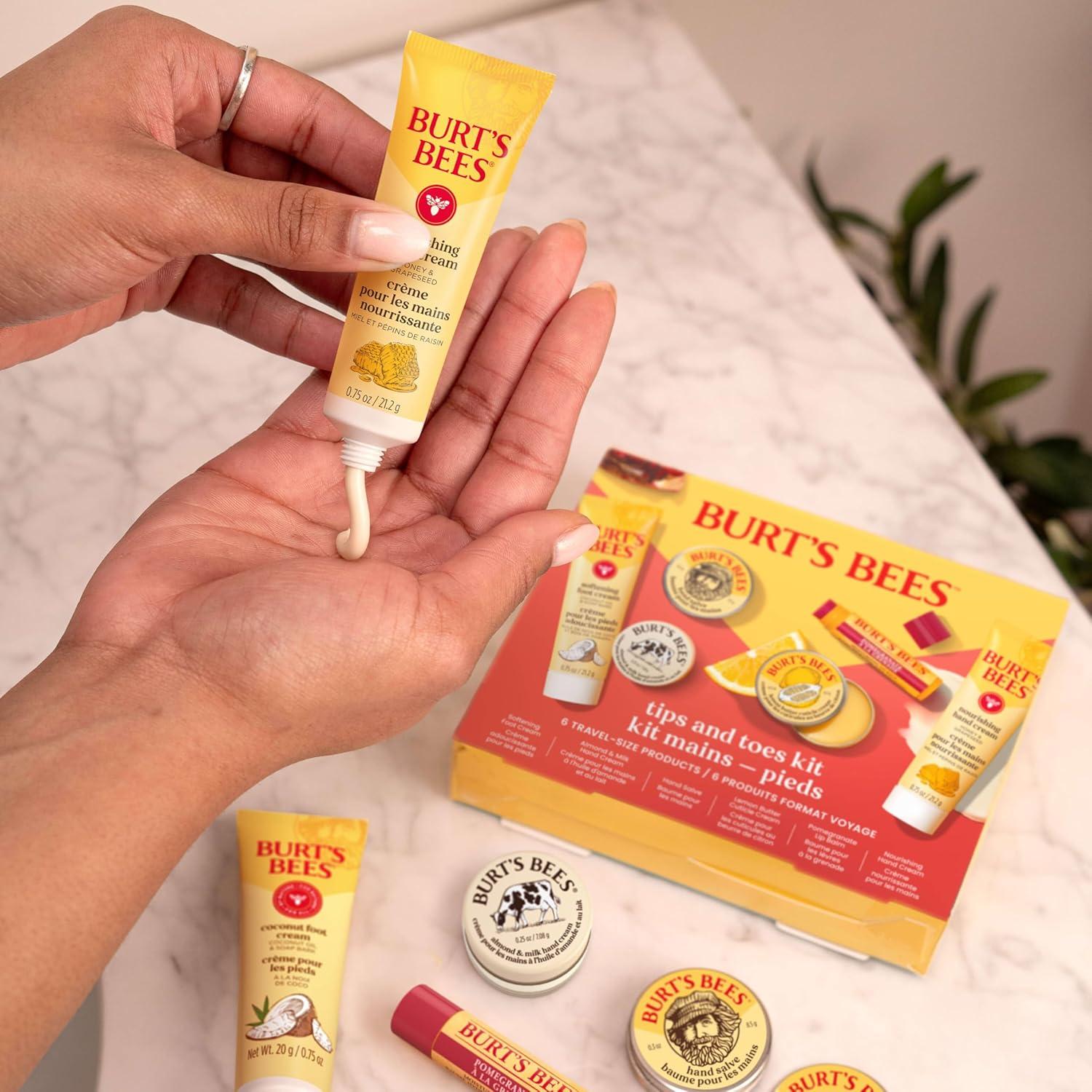 Kit de Cuidado de Piel Burt's Bees - 6 Productos Viaje