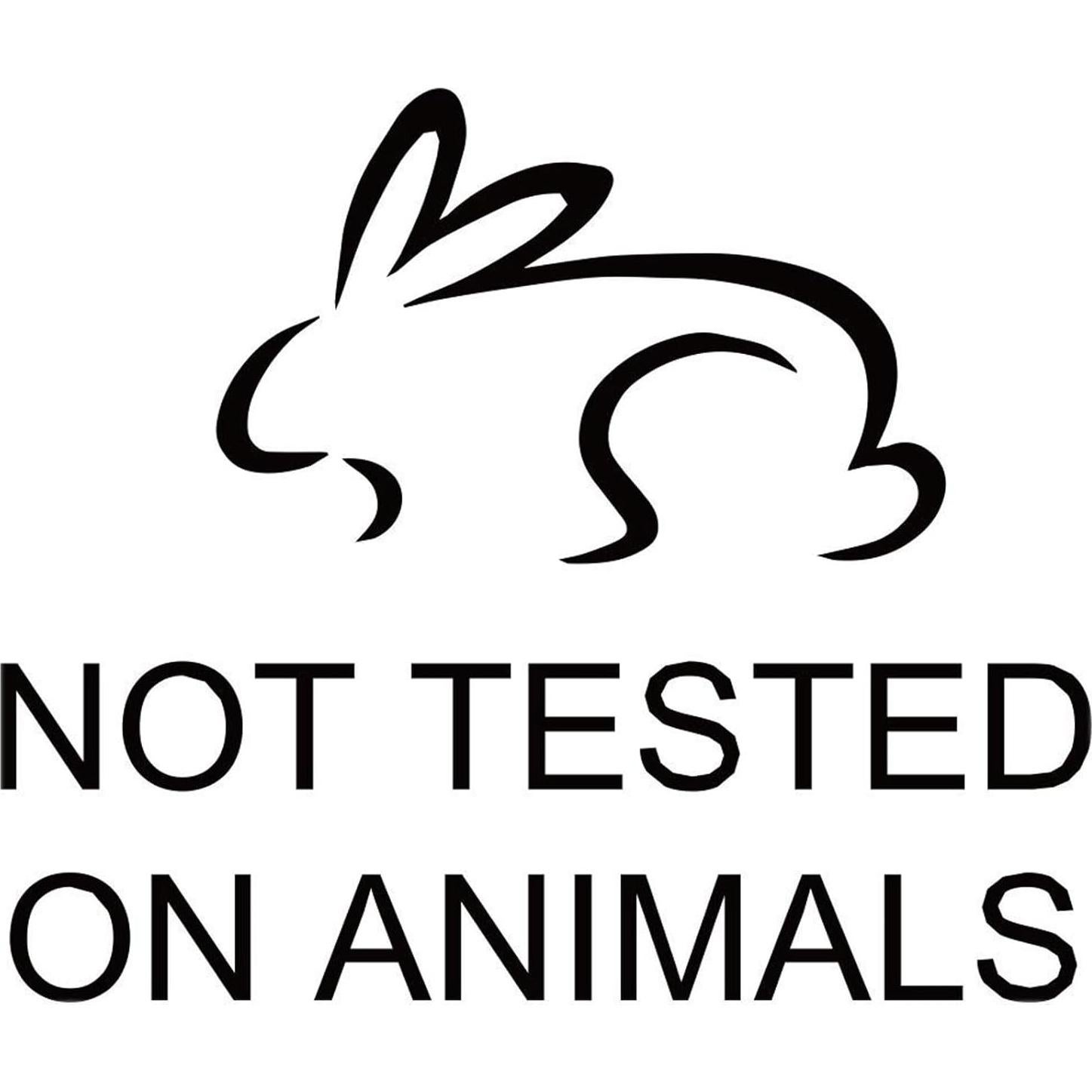 Kit de Cepillo de Dientes Desechable ECO Amenities - 100 Juegos