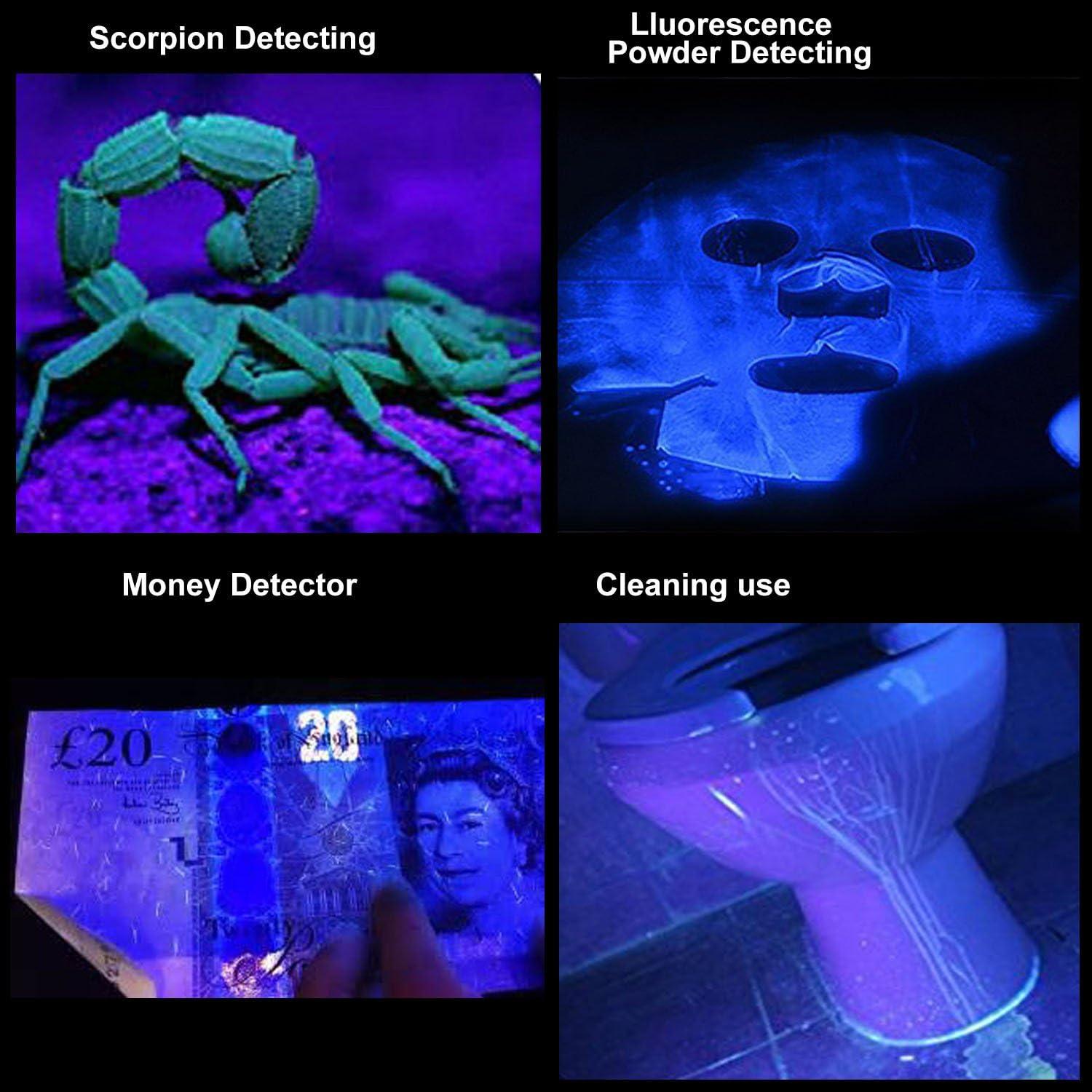 Linterna UV GKG 395nm 2Pack Mini Luz Negra Recargable