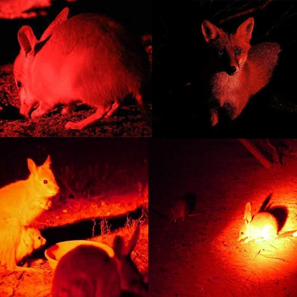 Linterna Táctica LED BESTSUN Verde y Roja 1000 Lúmenes