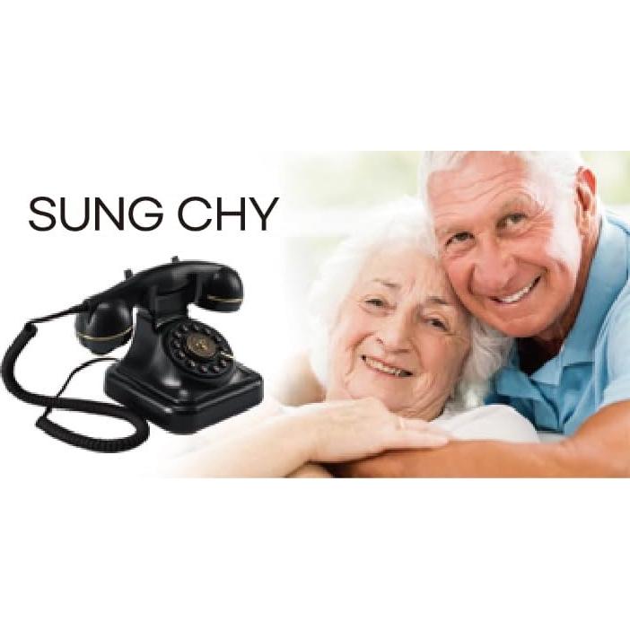 Teléfono de Línea Fija Retro SUNG CHY con Control de Timbre