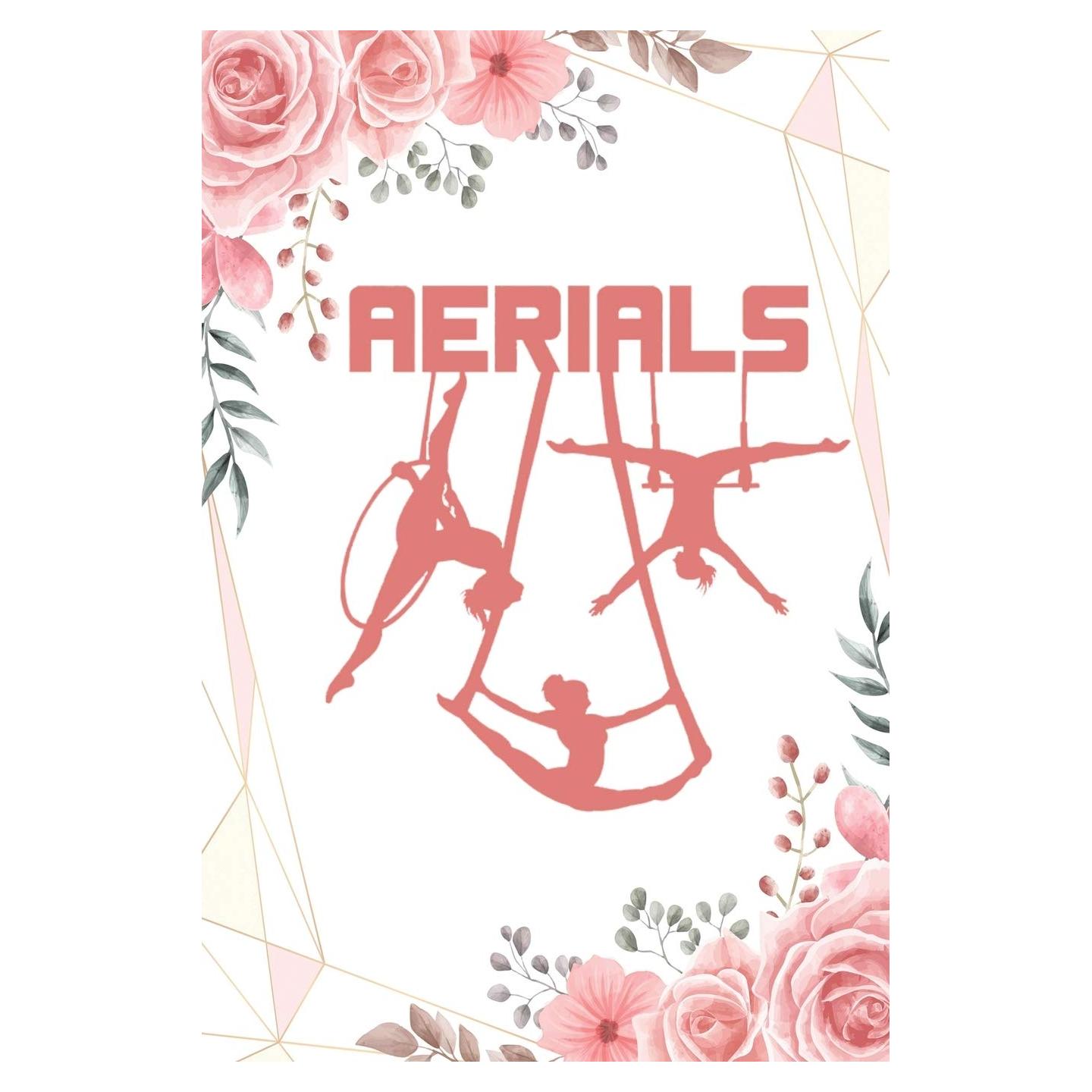 Aerials:: Notebook Aerialist Practice Writing Diary Ruled Lined Pages Book 120 Pages 6 x 9 Gift for aerial silk aerial hoop