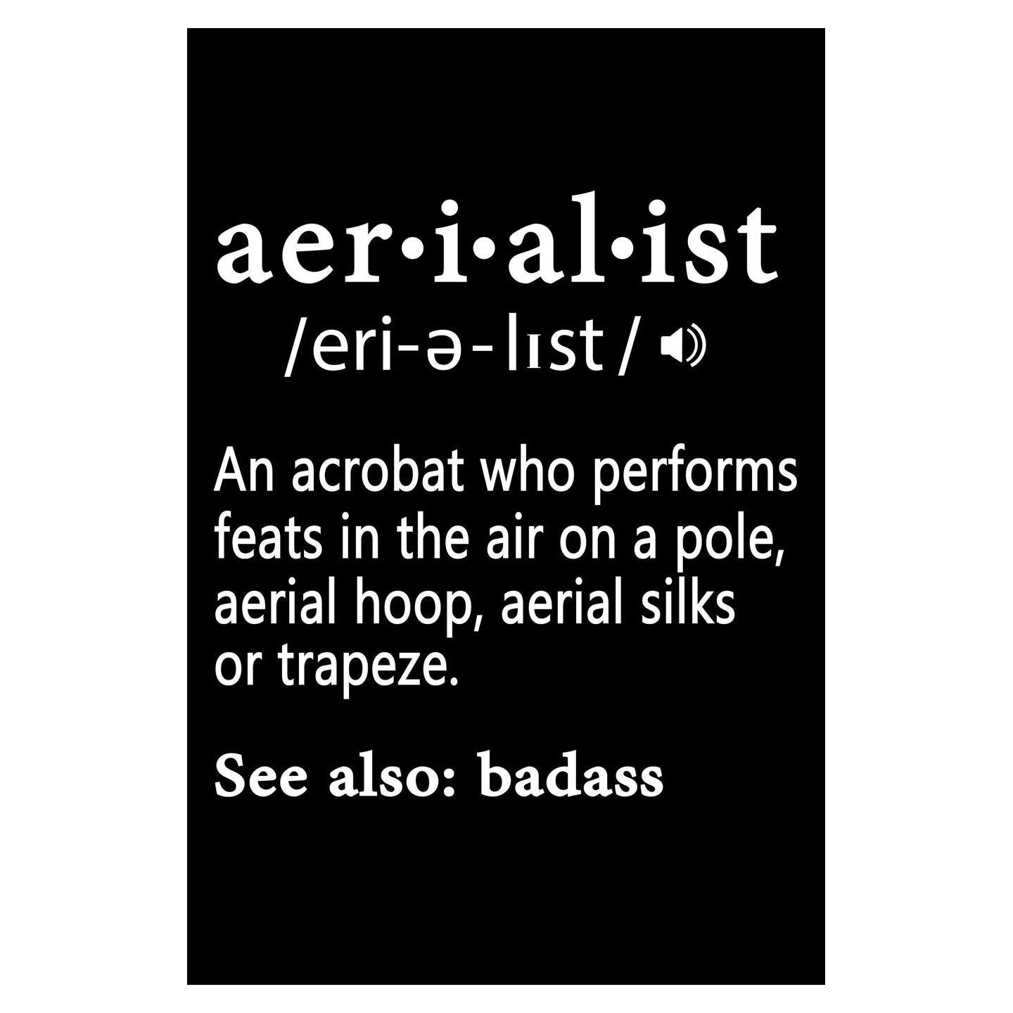 Aerialist Definition Notebook:: Aerialist Practice Writing Diary Ruled Lined Pages Book 120 Pages 6 x 9 Gift for aerial silk aerial hoop