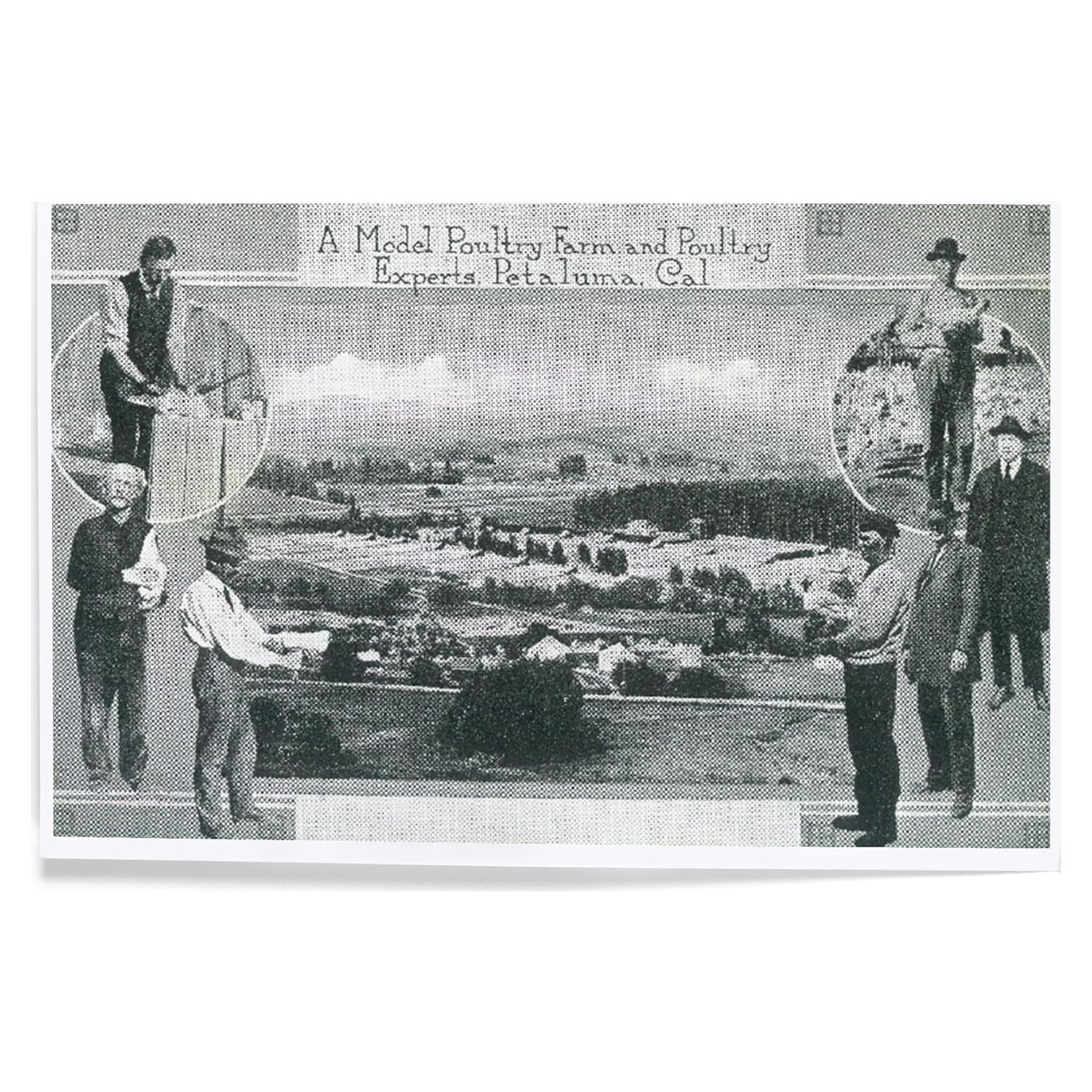 Impresión Artística Lantern Press 20x30 cm Ecológica