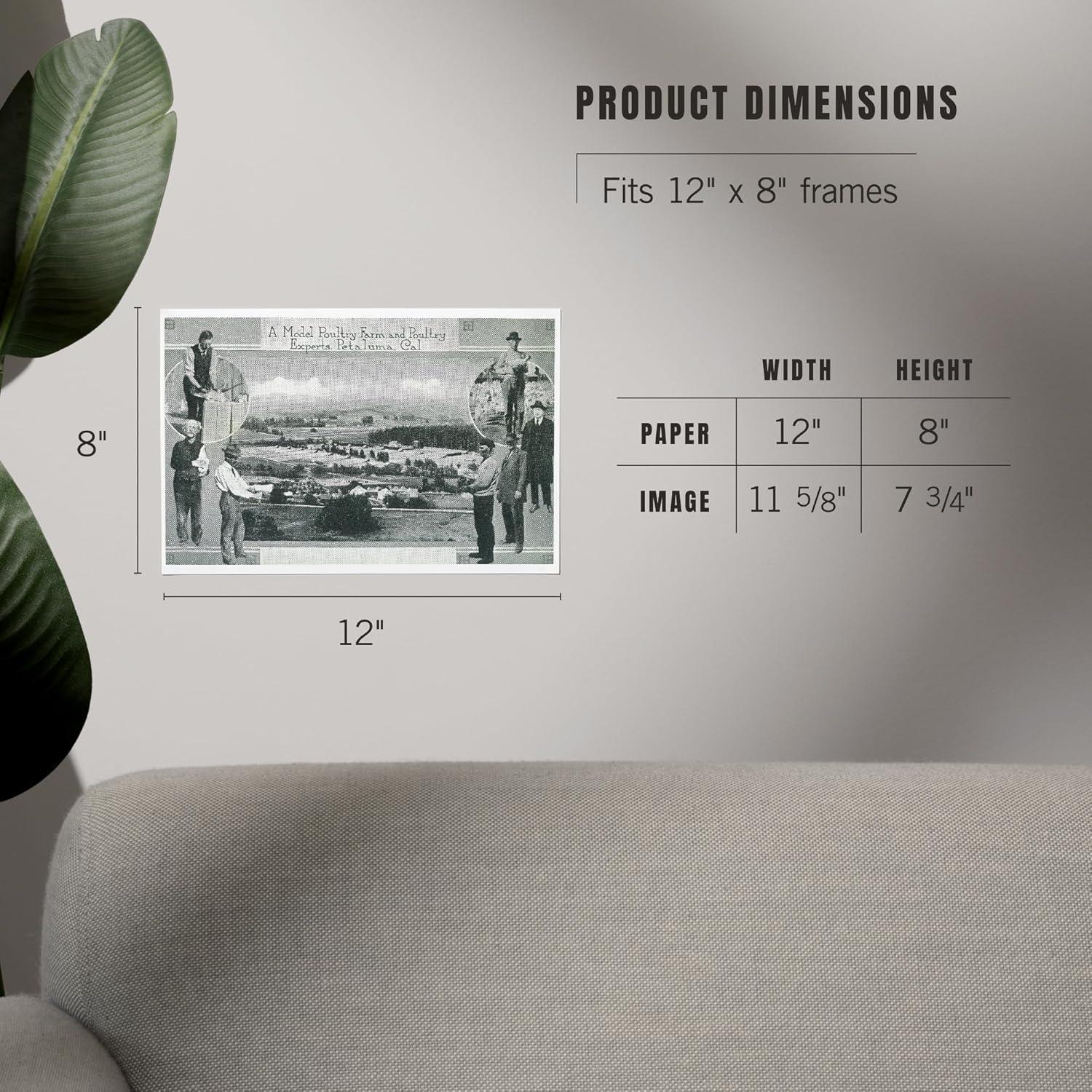 Impresión Artística Lantern Press 20x30 cm Ecológica