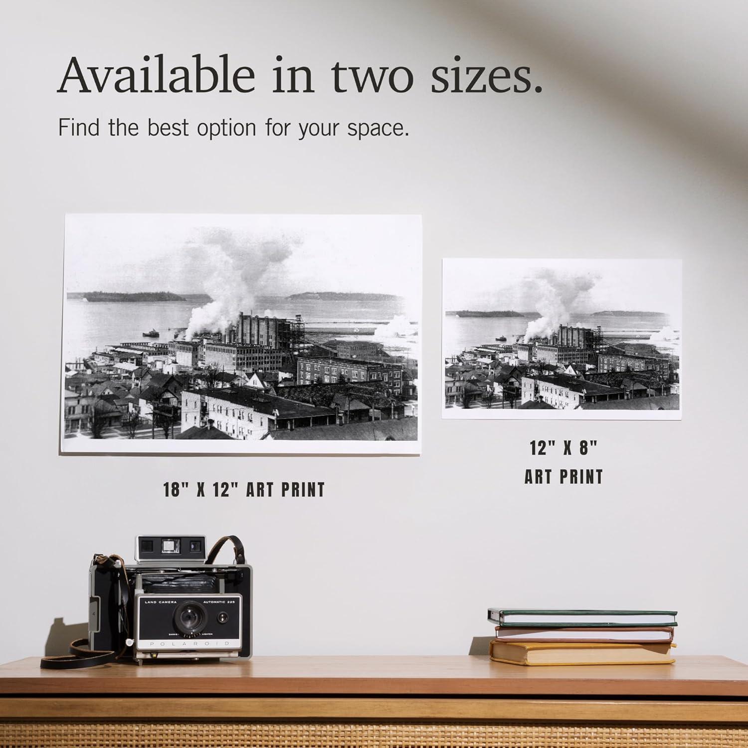 Impresión Artística 30x45 cm Lantern Press - Vista Aérea Fábrica