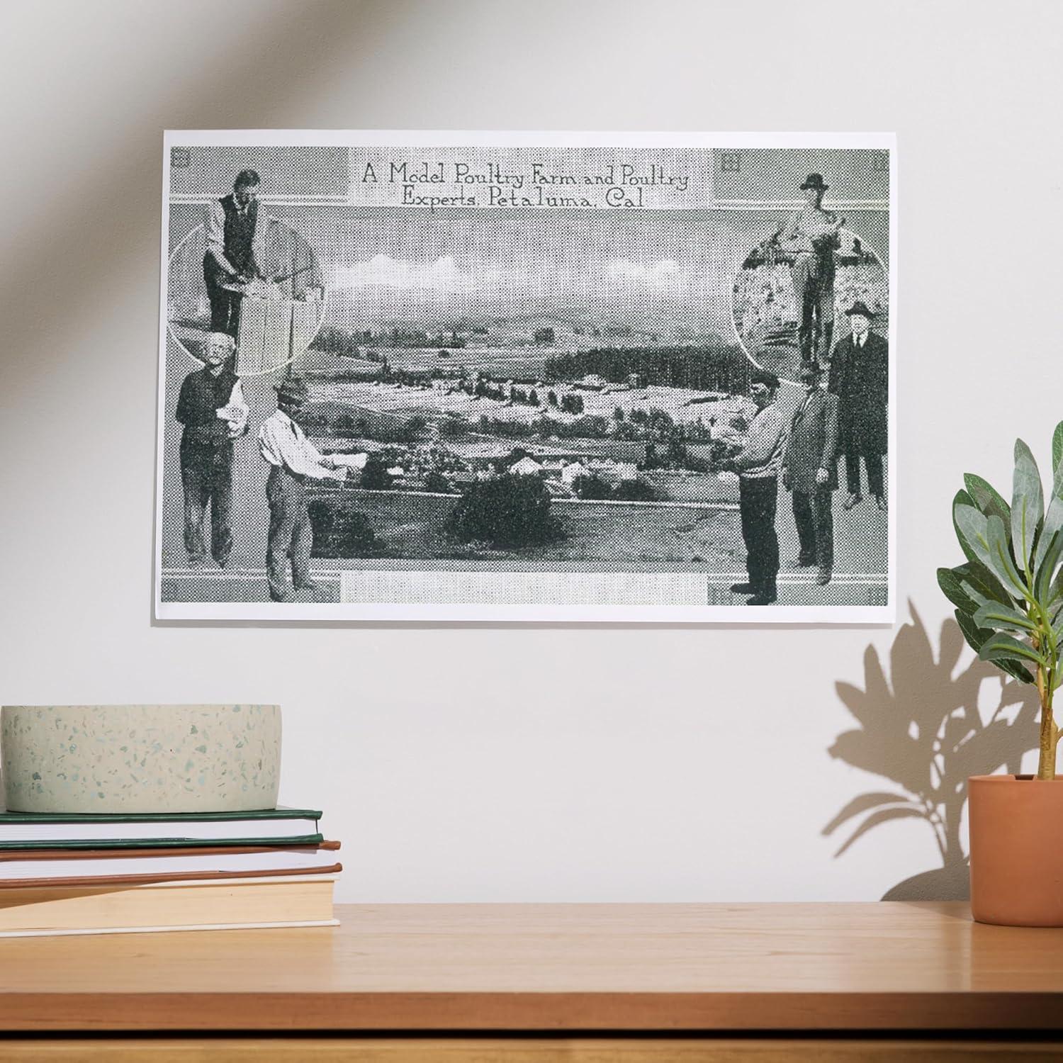 Impresión Artística Lantern Press 30x45 cm Aves Petaluma