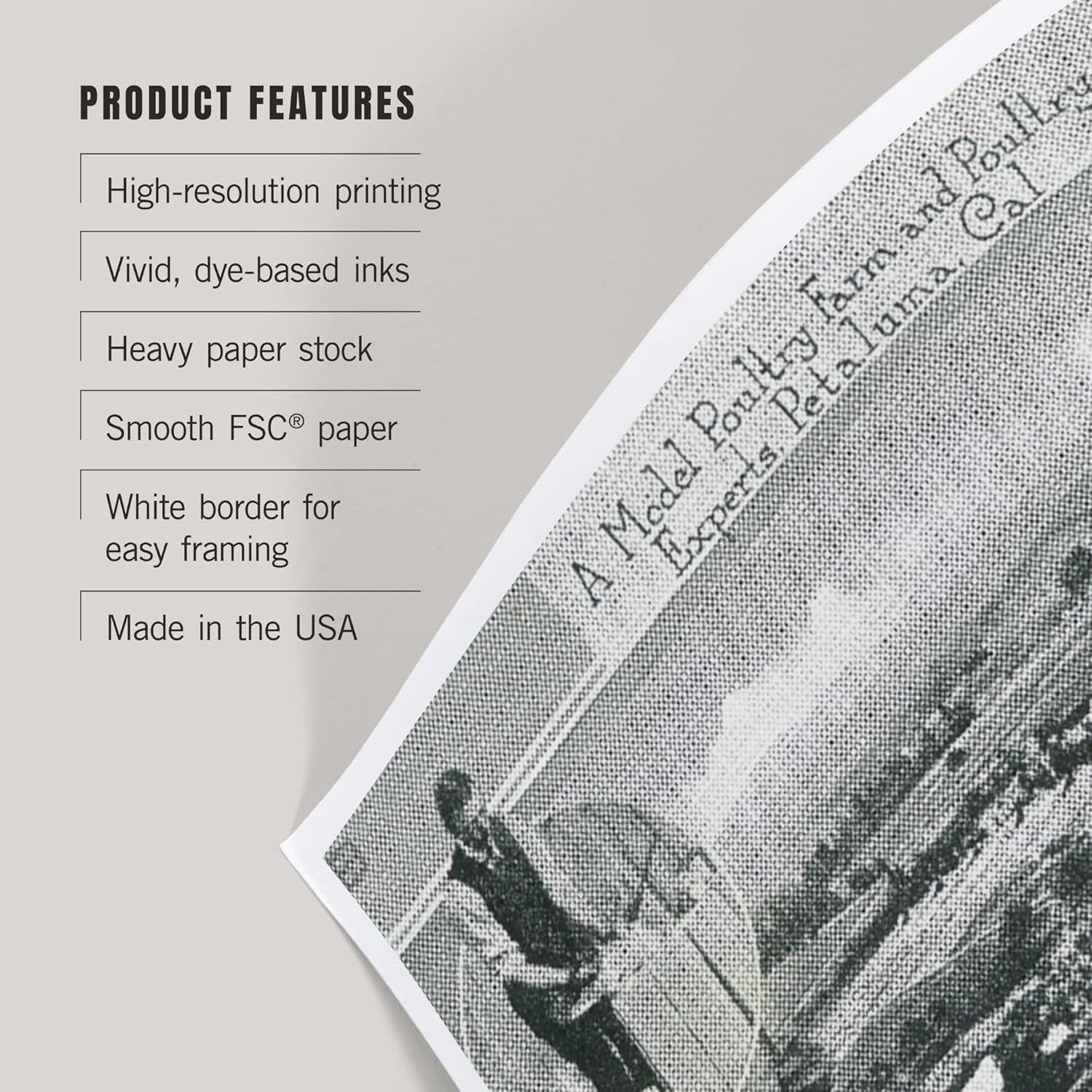 Impresión Artística Lantern Press 30x45 cm Aves Petaluma