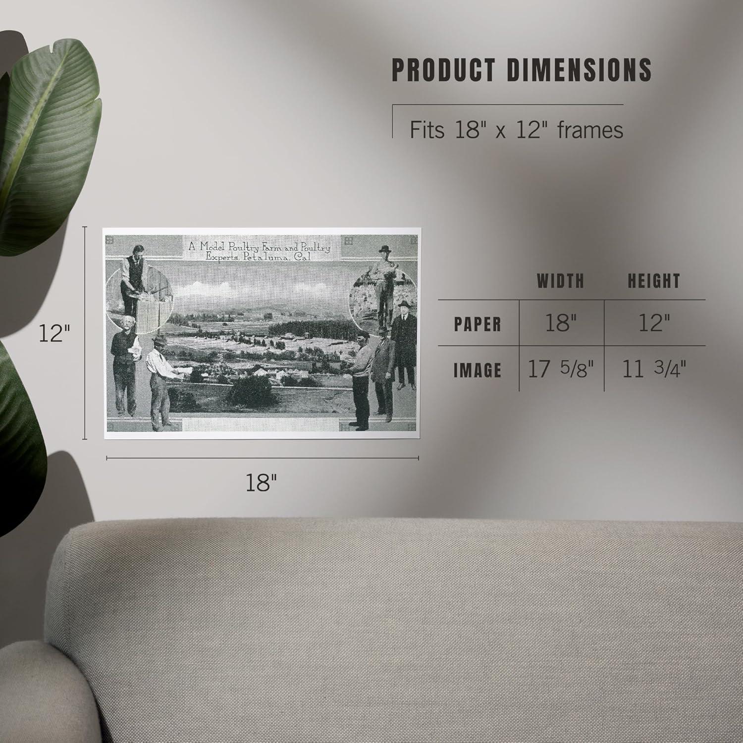 Impresión Artística Lantern Press 30x45 cm Aves Petaluma