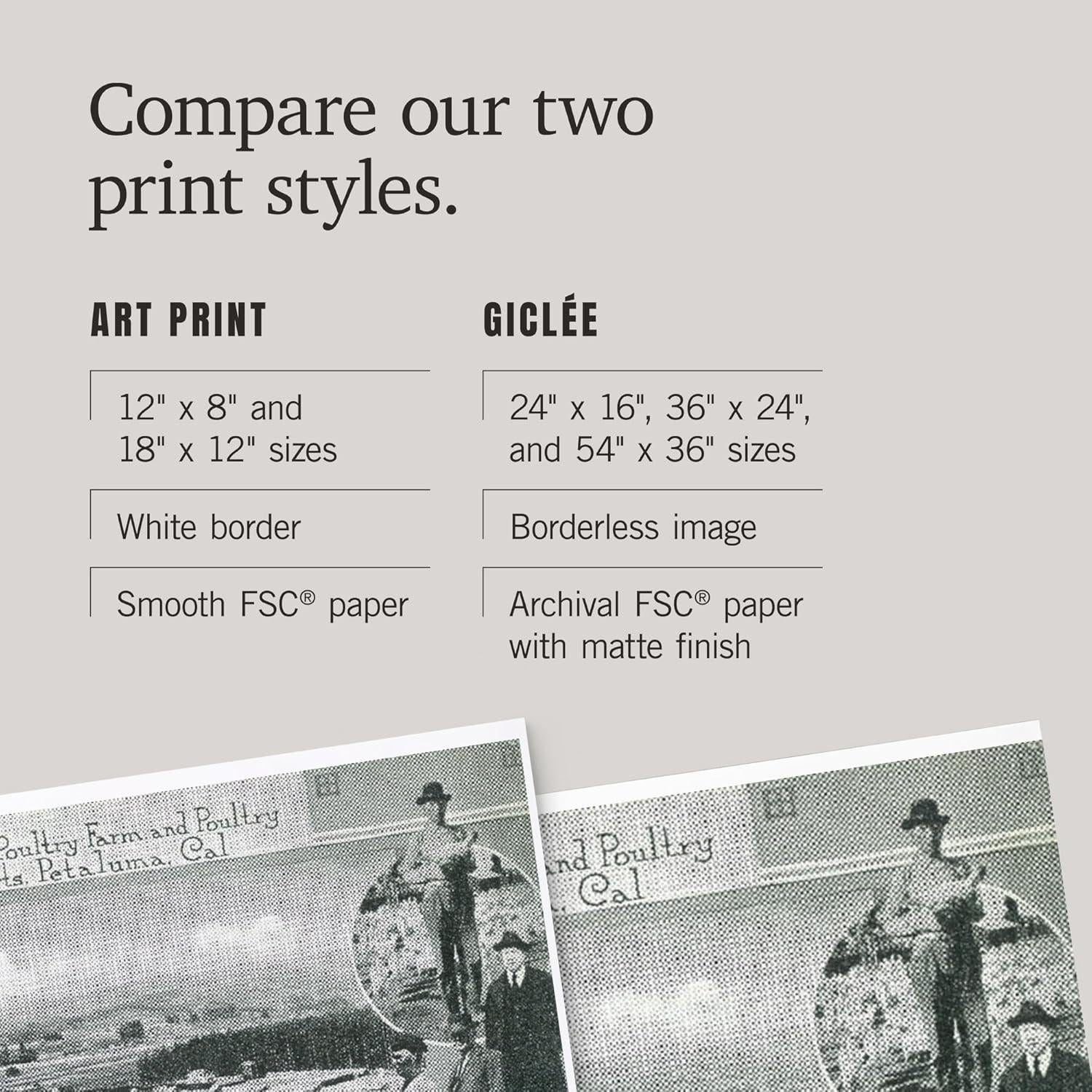 Impresión Artística Lantern Press 30x45 cm Aves Petaluma