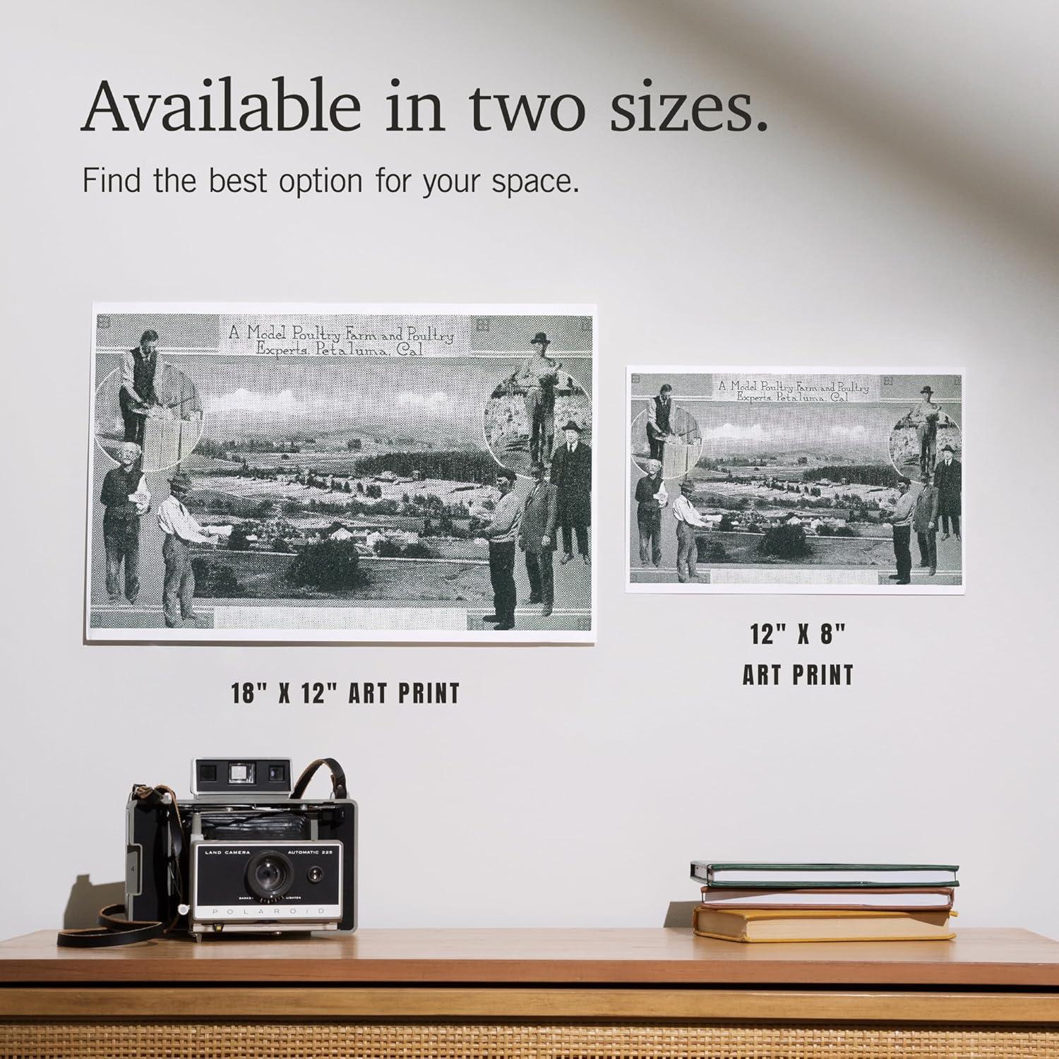 Impresión Artística Lantern Press 30x45 cm Aves Petaluma