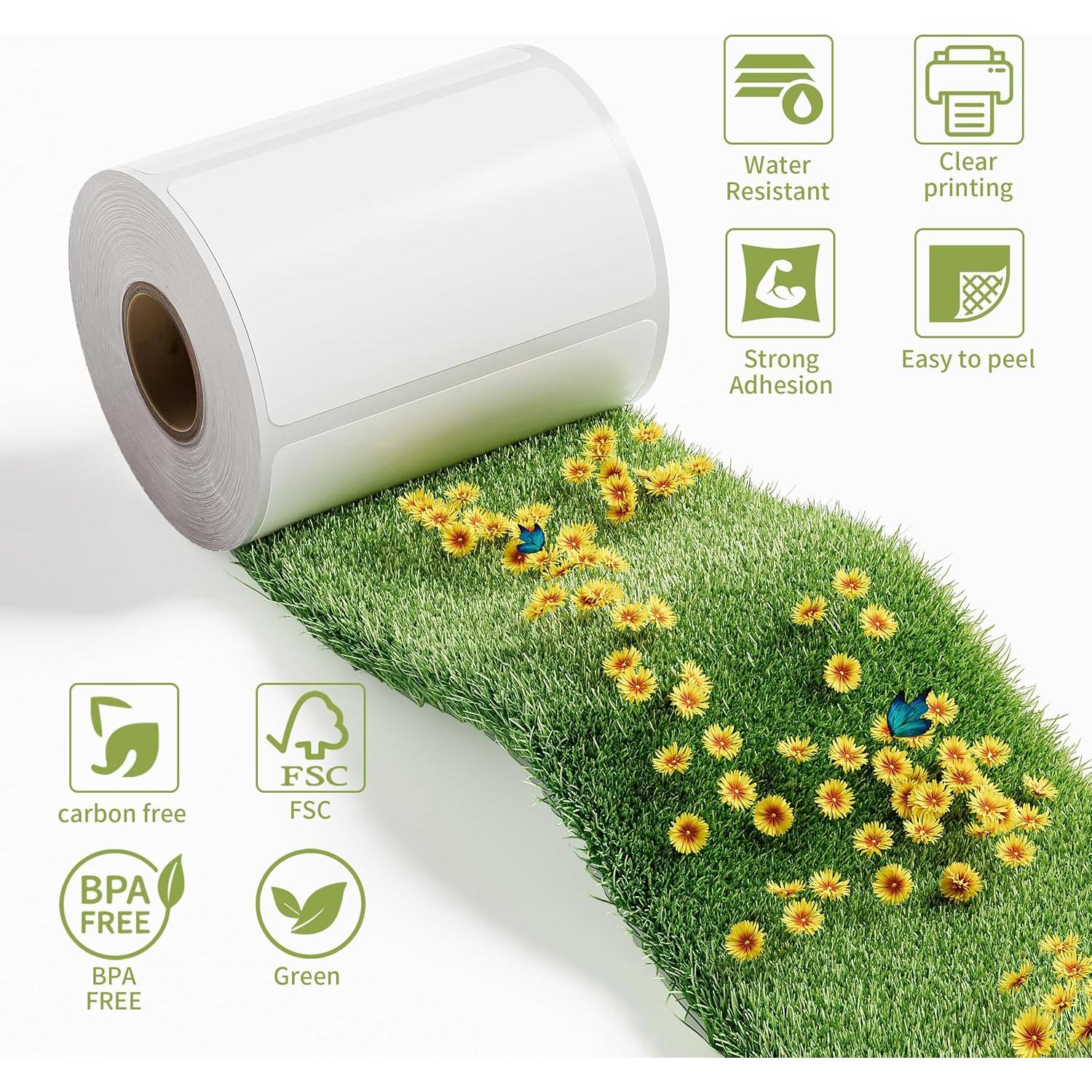 Cinta de Etiquetas MarkDomain DK-2205 62mm x 30.48m 8 Rollos