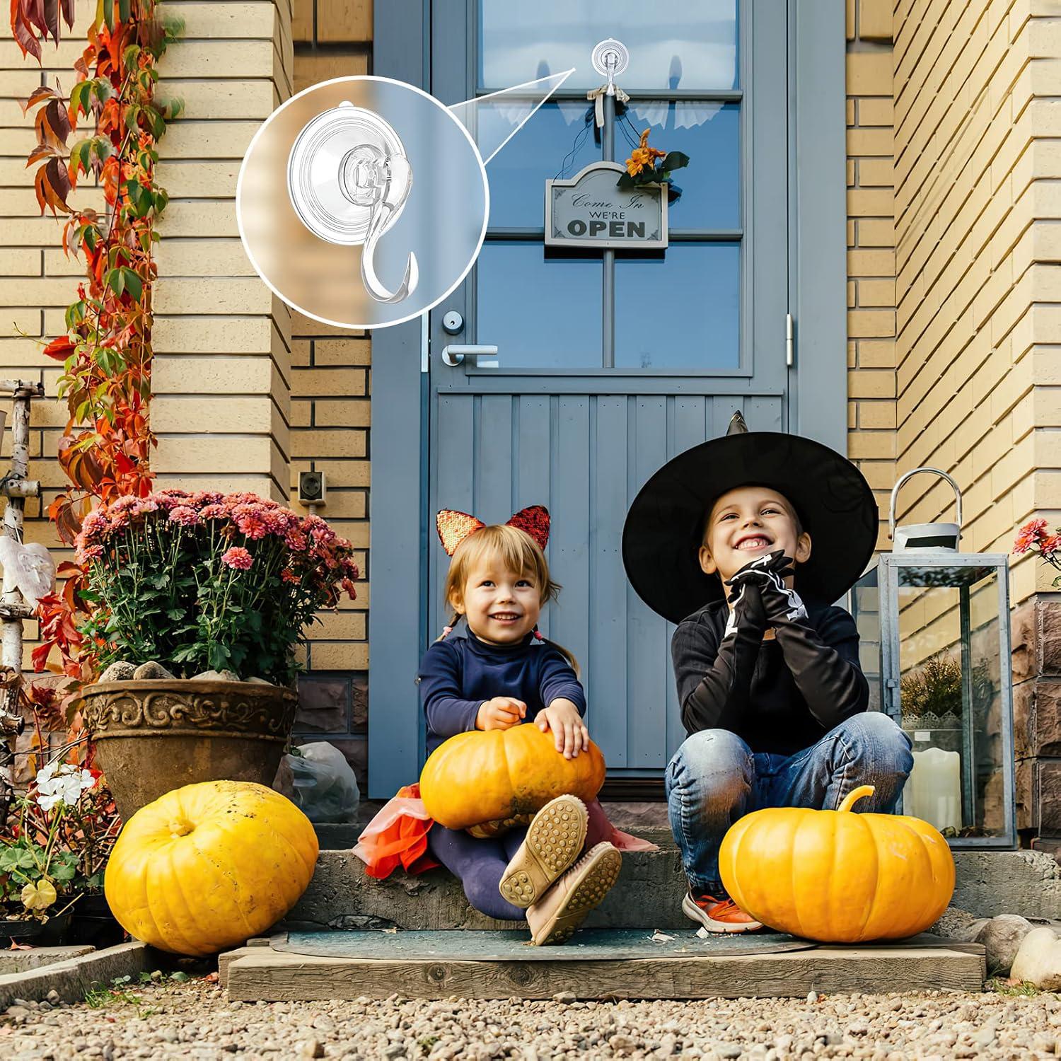 Gancho de Ventosa Transparente VIS'V - 2 Pcs, 10 kg