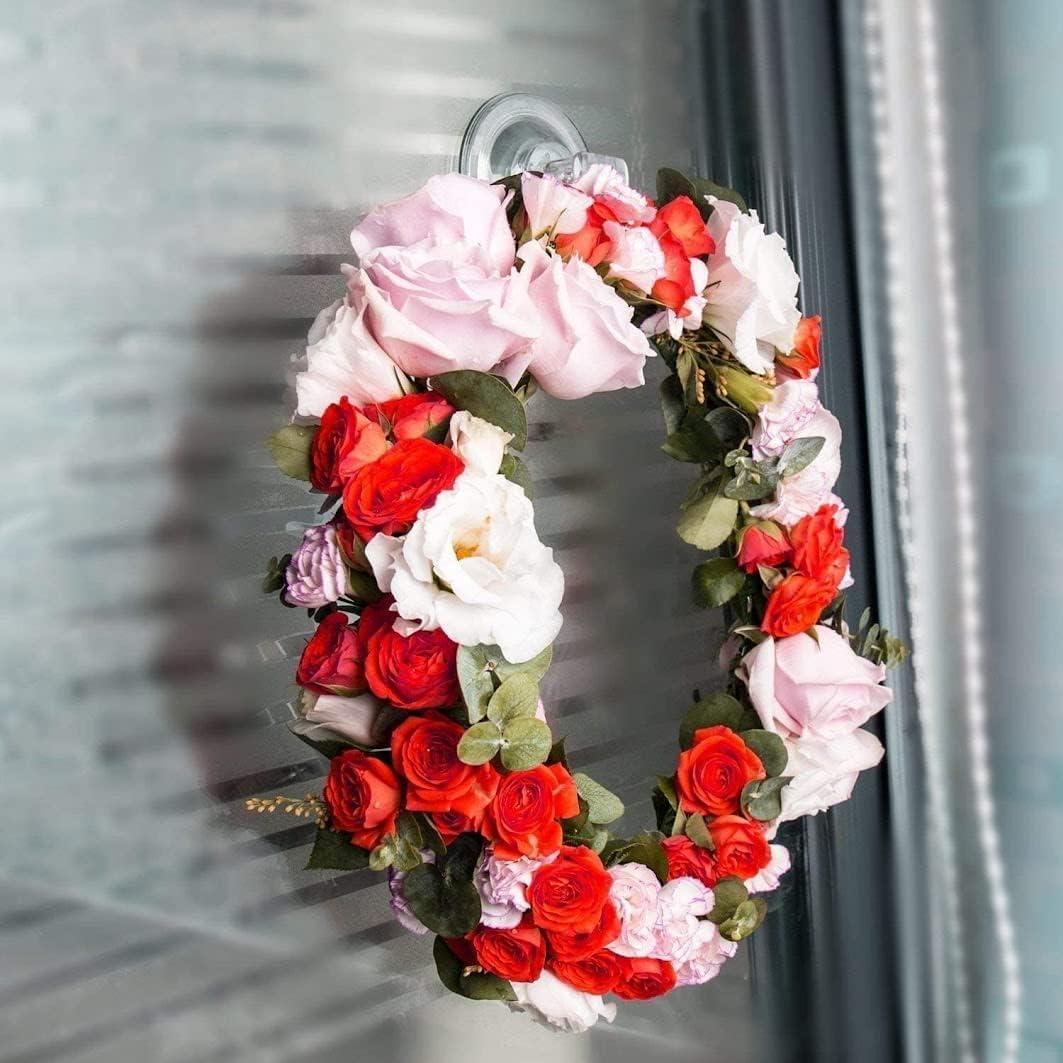 Ganchos de Ventosa Quntis 4 Pack Transparentes Multiusos