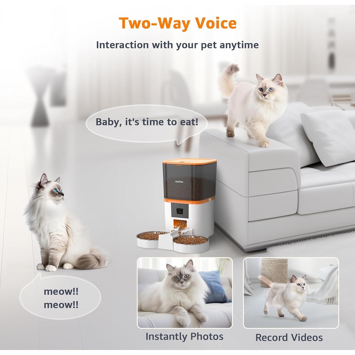 Comedero Automático Roilpet para Gatos 6L con Cámara HD 1080P