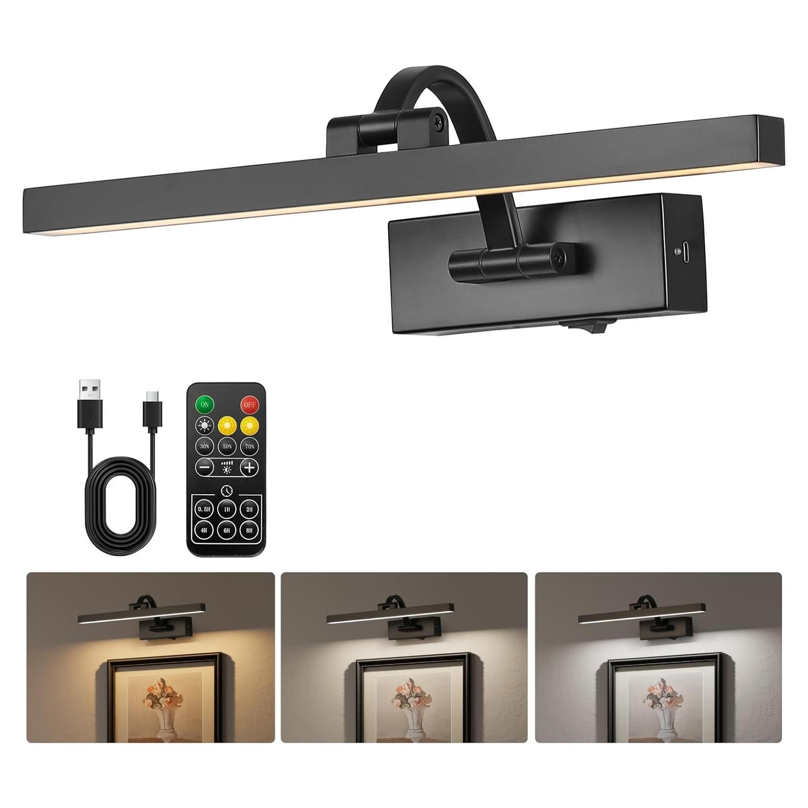 Luz de Imagen LED Inalámbrica DarHorz 39.5cm Regulable USB