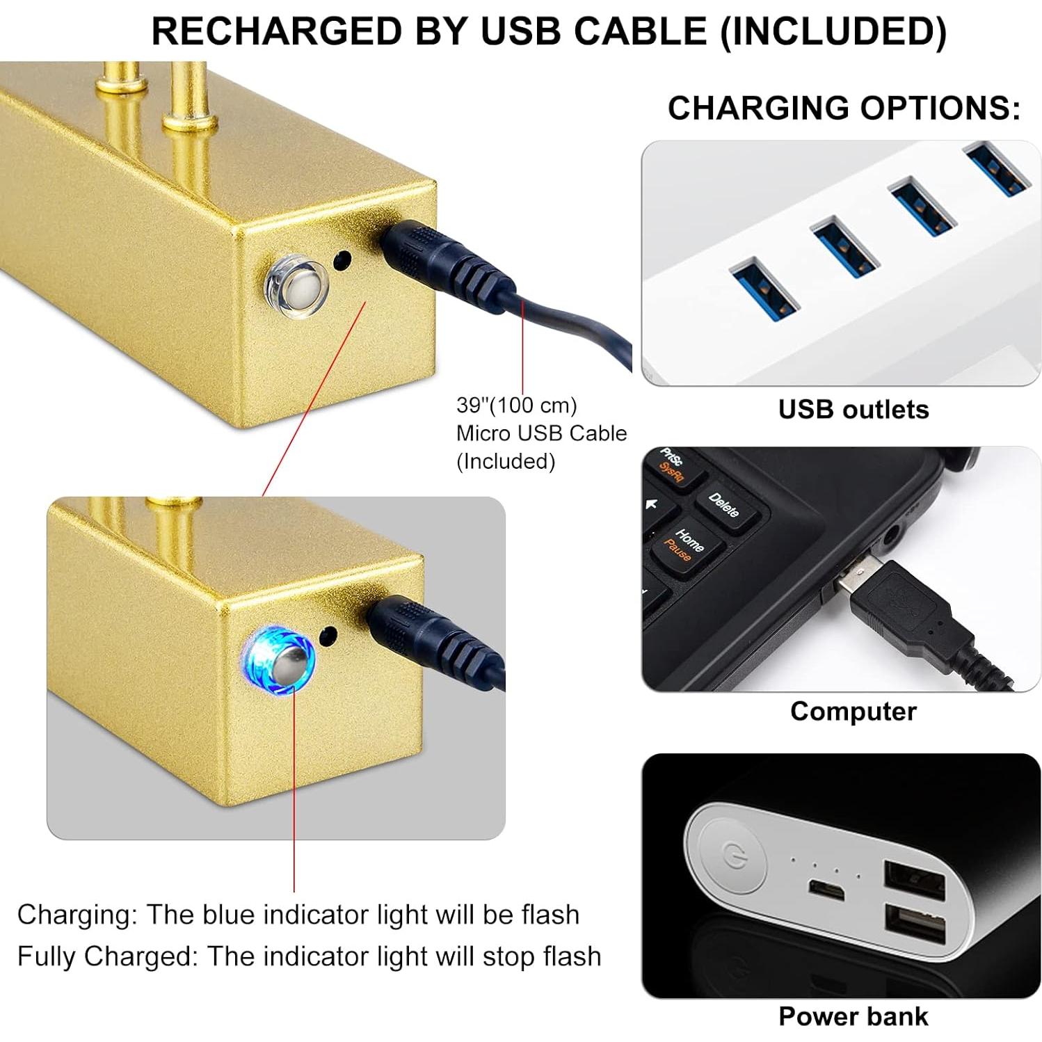 Luz de Imagen Inalámbrica RAIFOOLLY 16" Dorada Regulable