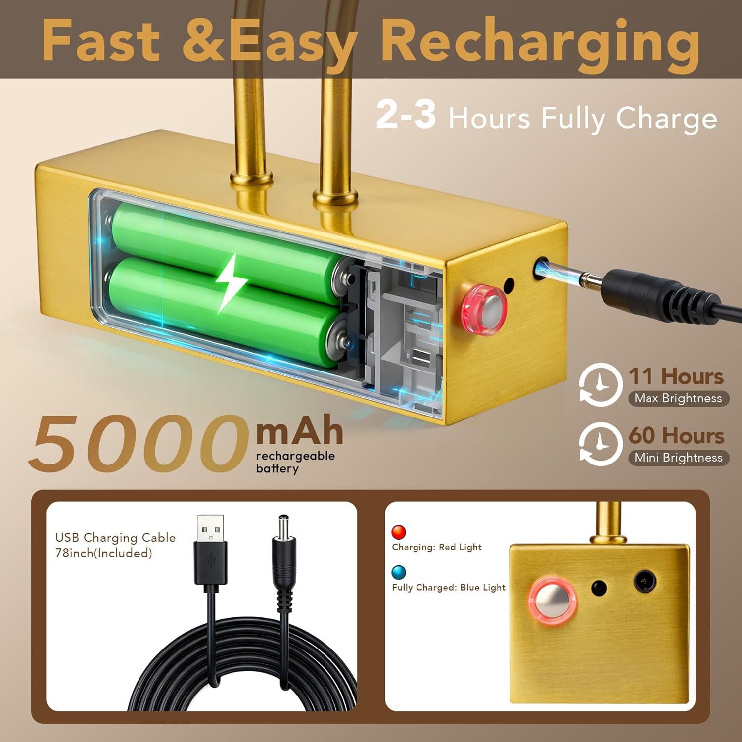 Luz de Imagen Inalámbrica RAIFOOLLY 40.64cm Oro Regulable