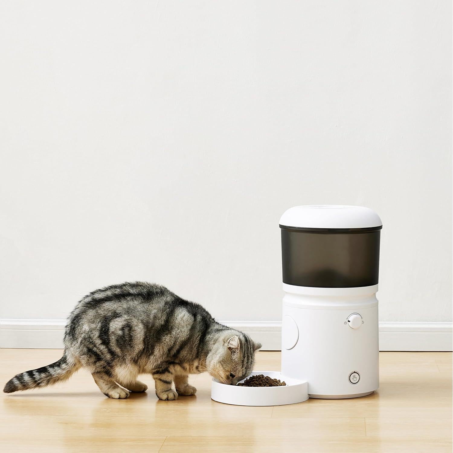 Alimentador Automático Amazon Basics 4L para Gatos y Perros