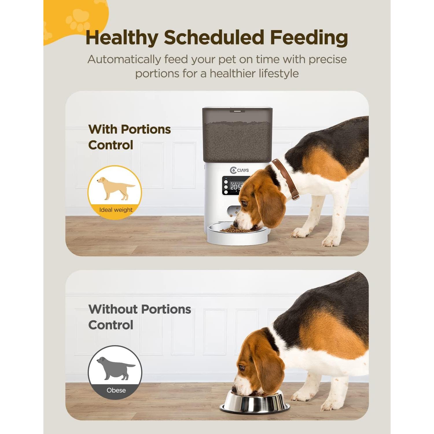 Comedero Automático para Gatos Ciays 6L Blanco Acero Inoxidable