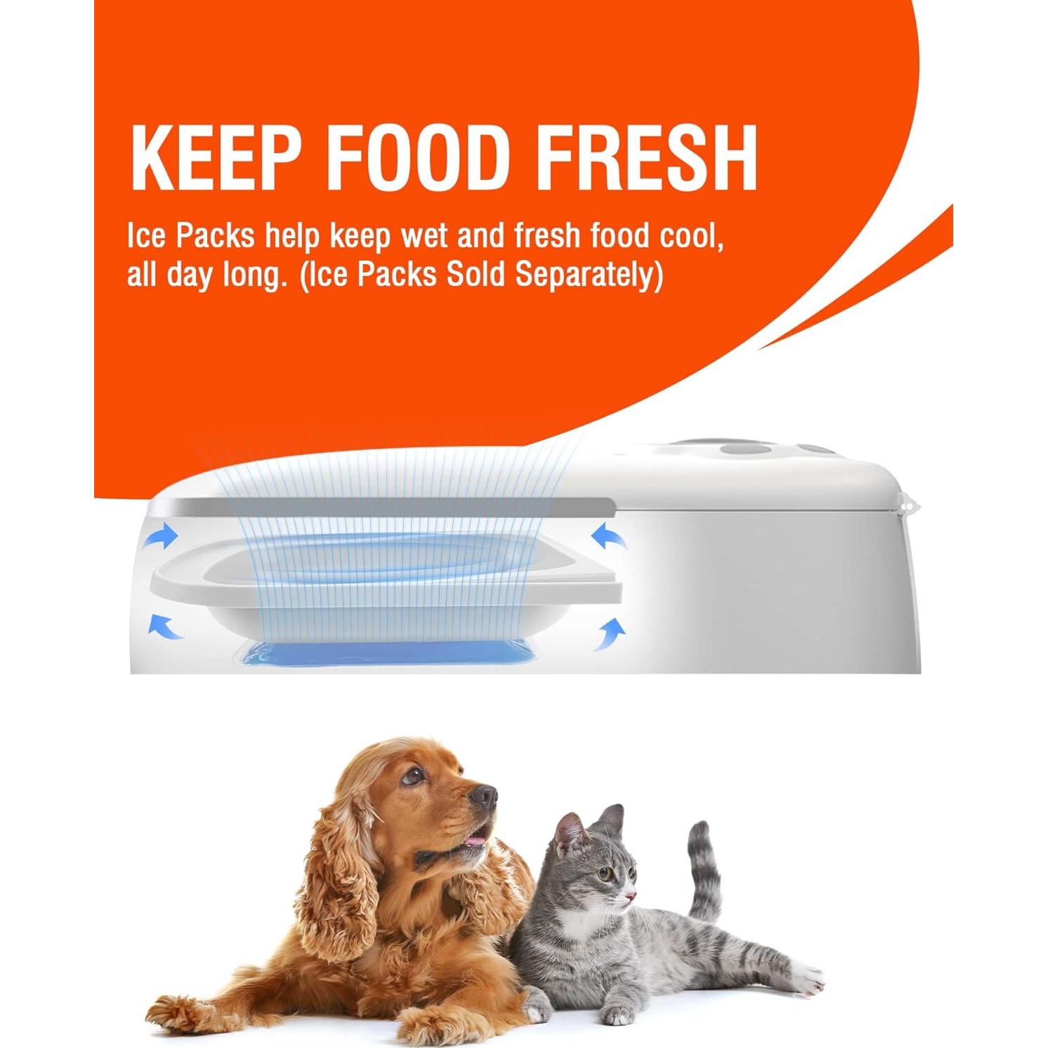 Comedero Automático Madatop para Gatos y Perros 350ml