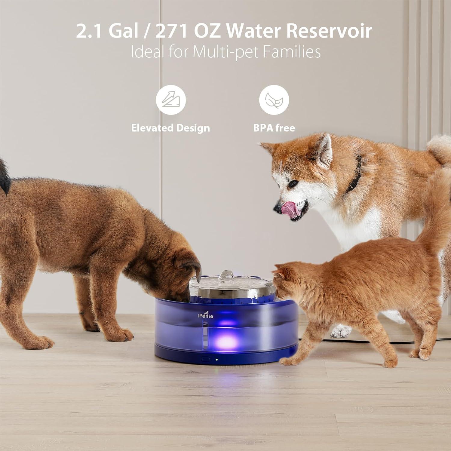 Fuente de Agua para Perros iPettie Cake 8L Automática Acero Inoxidable