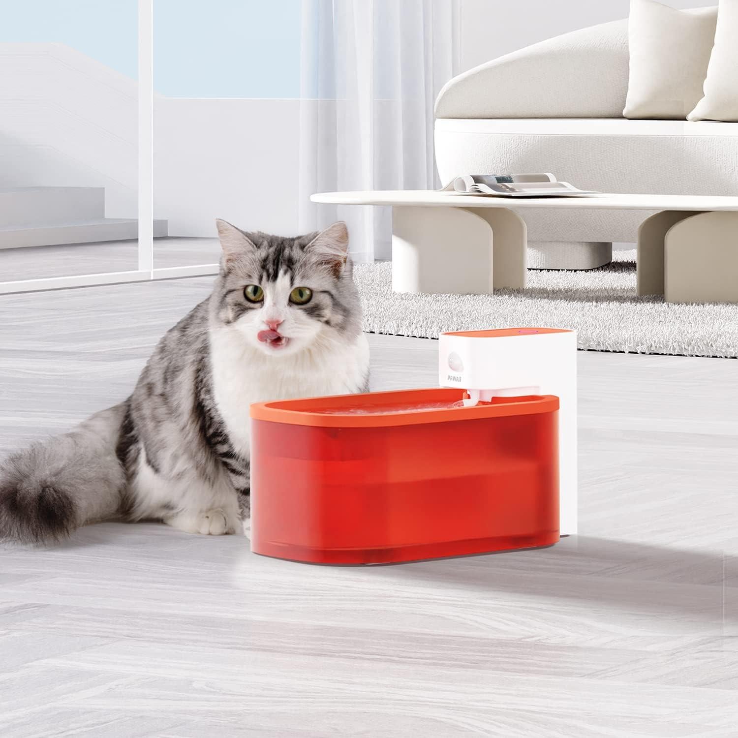 Filtros de Reemplazo Pawaii para Fuente de Agua Inalámbrica 6 Unidades