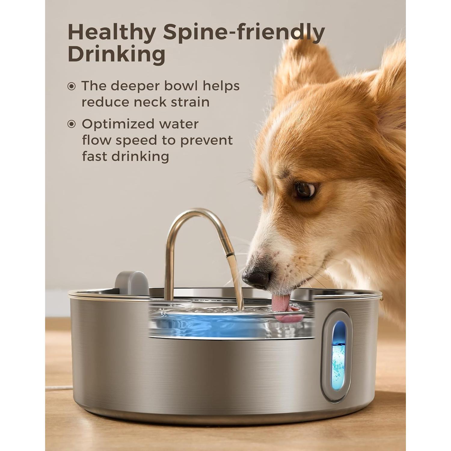 Fuente de Agua para Perros Grandes 7L Smartoo Acero Inoxidable