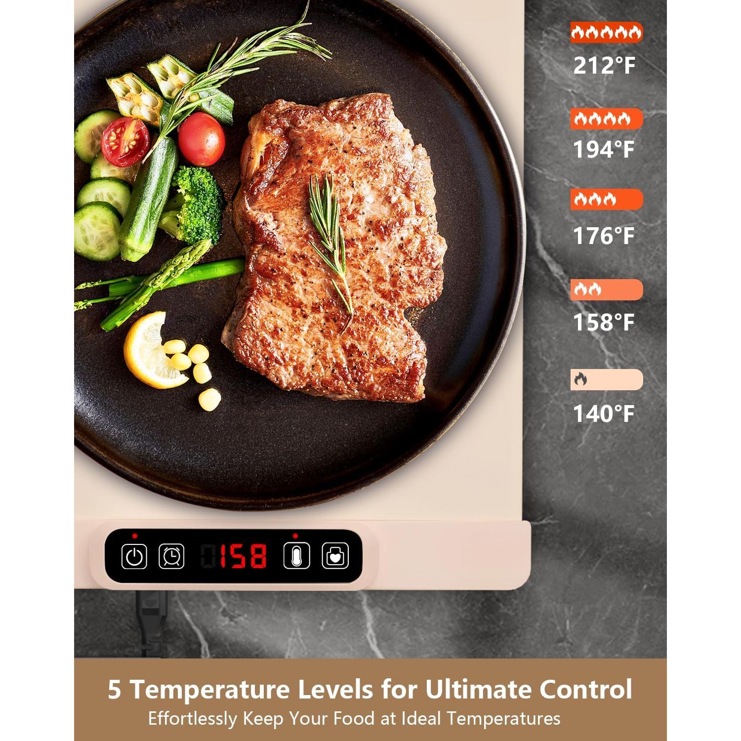 Bandeja Calentadora Eléctrica DRSPEE 40x60cm 5 Temperaturas