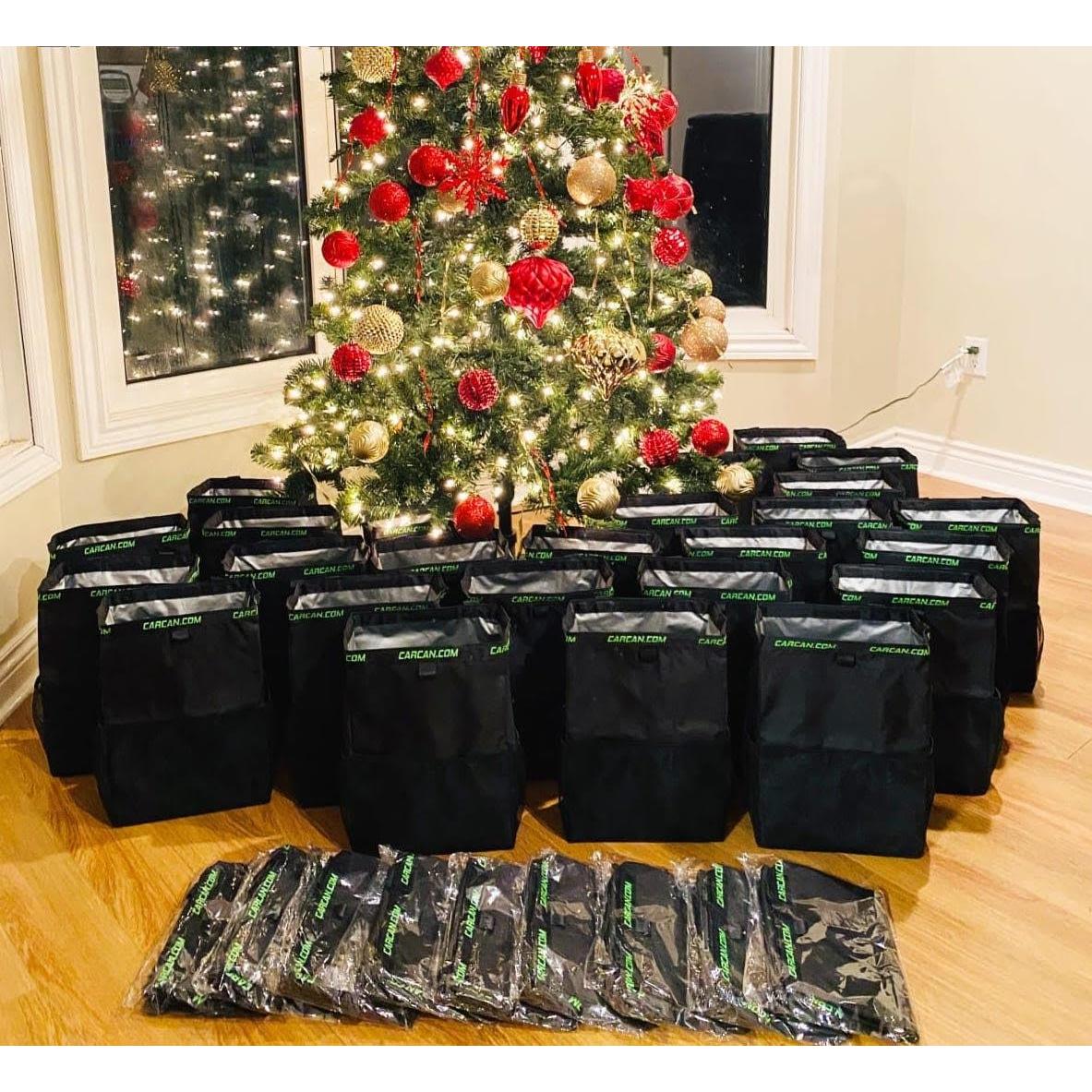 Basurero Colgante para Auto CarCan 3 en 1 - Paquete de 2