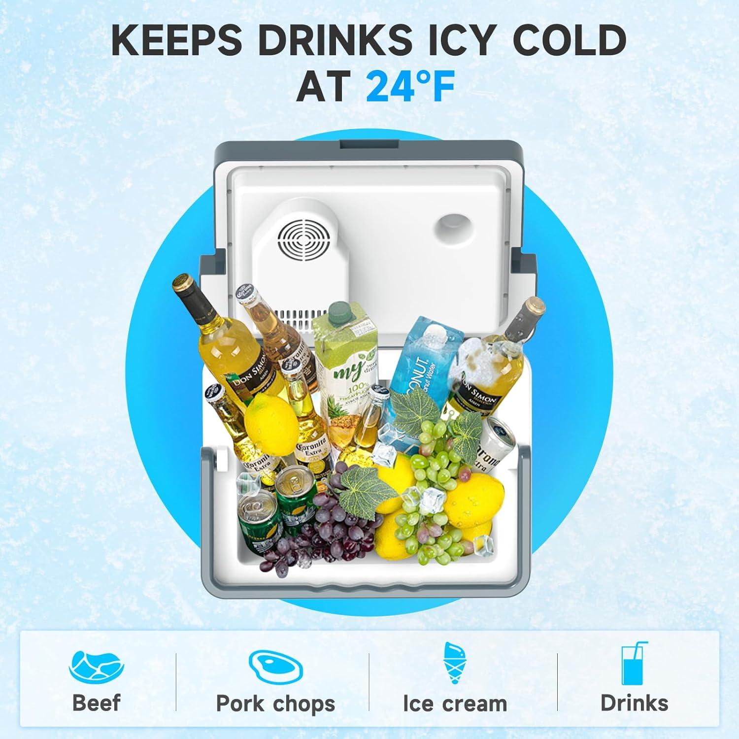 Enfriador y Calentador Eléctrico SHAREWIN 30L Portátil Gris