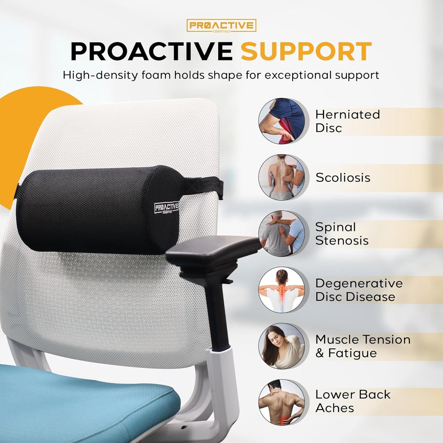 Cojín Lumbar Proactive Essentials D-Shaped Grande Firme