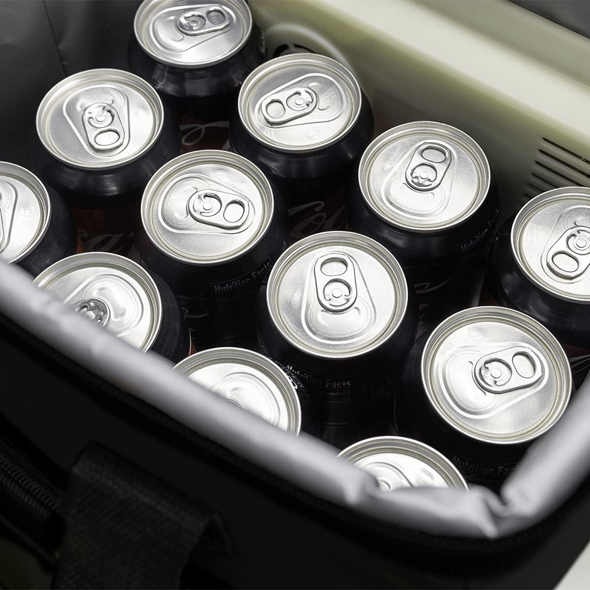 Bolsa de Enfriamiento RoadPro RP5370 15L 12V Aislada