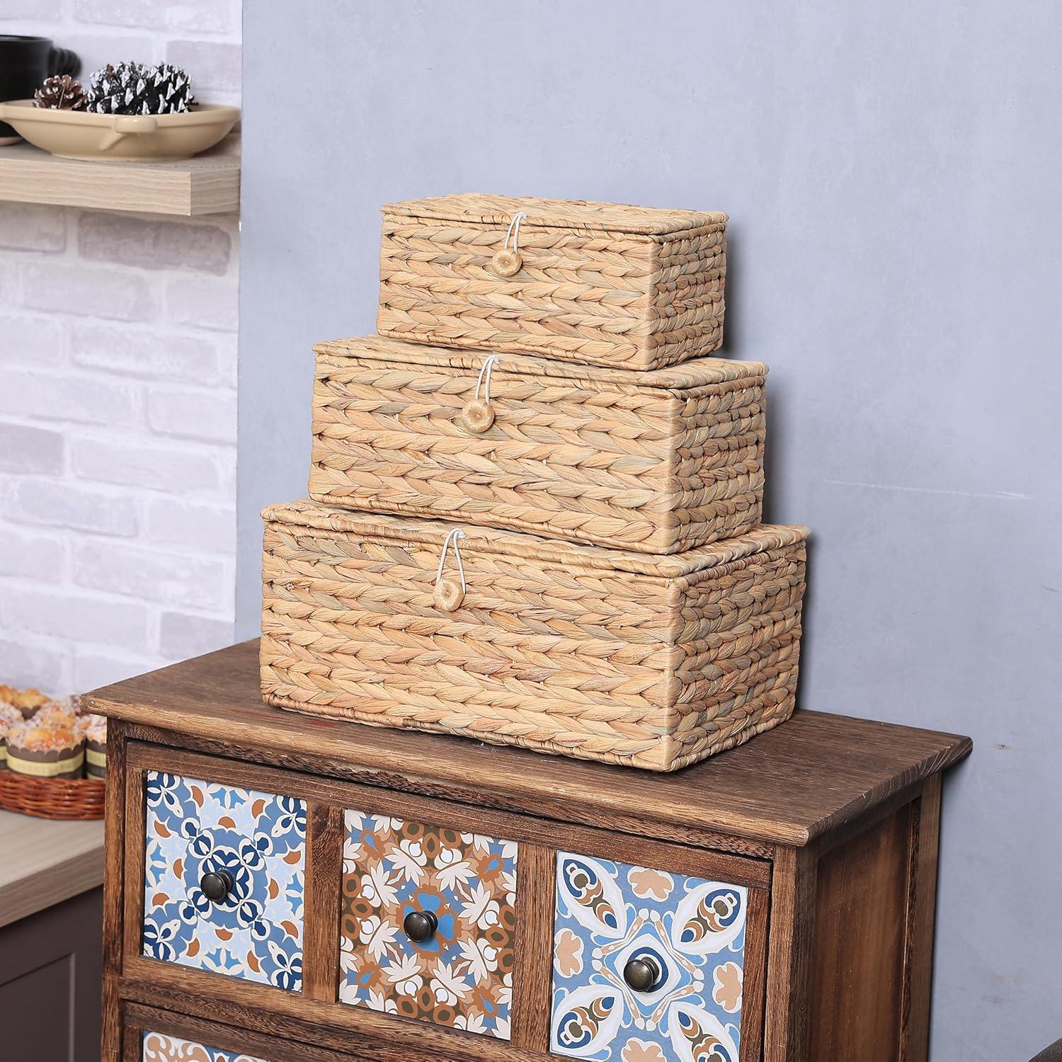 Juego de 3 Cestas de Almacenamiento LUSYDECO de Jacinto de Agua