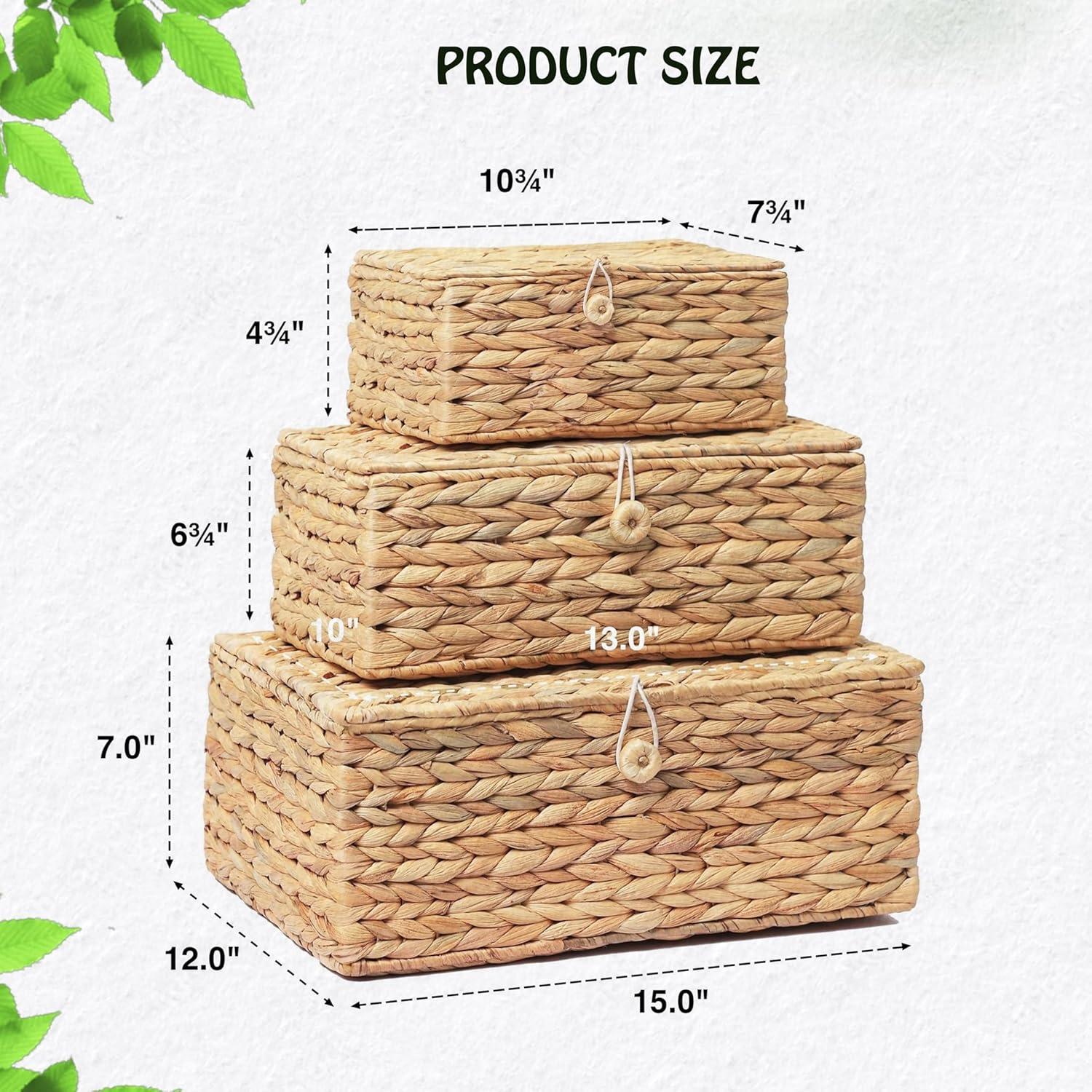 Juego de 3 Cestas de Almacenamiento LUSYDECO de Jacinto de Agua