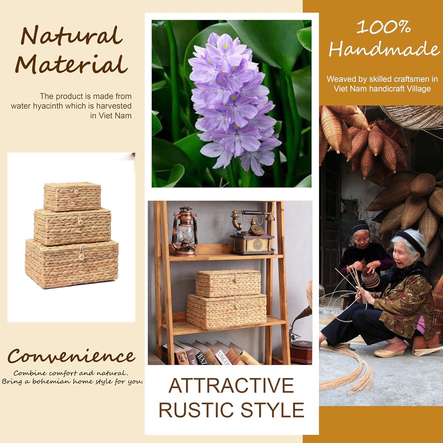 Juego de 3 Cestas de Almacenamiento LUSYDECO de Jacinto de Agua