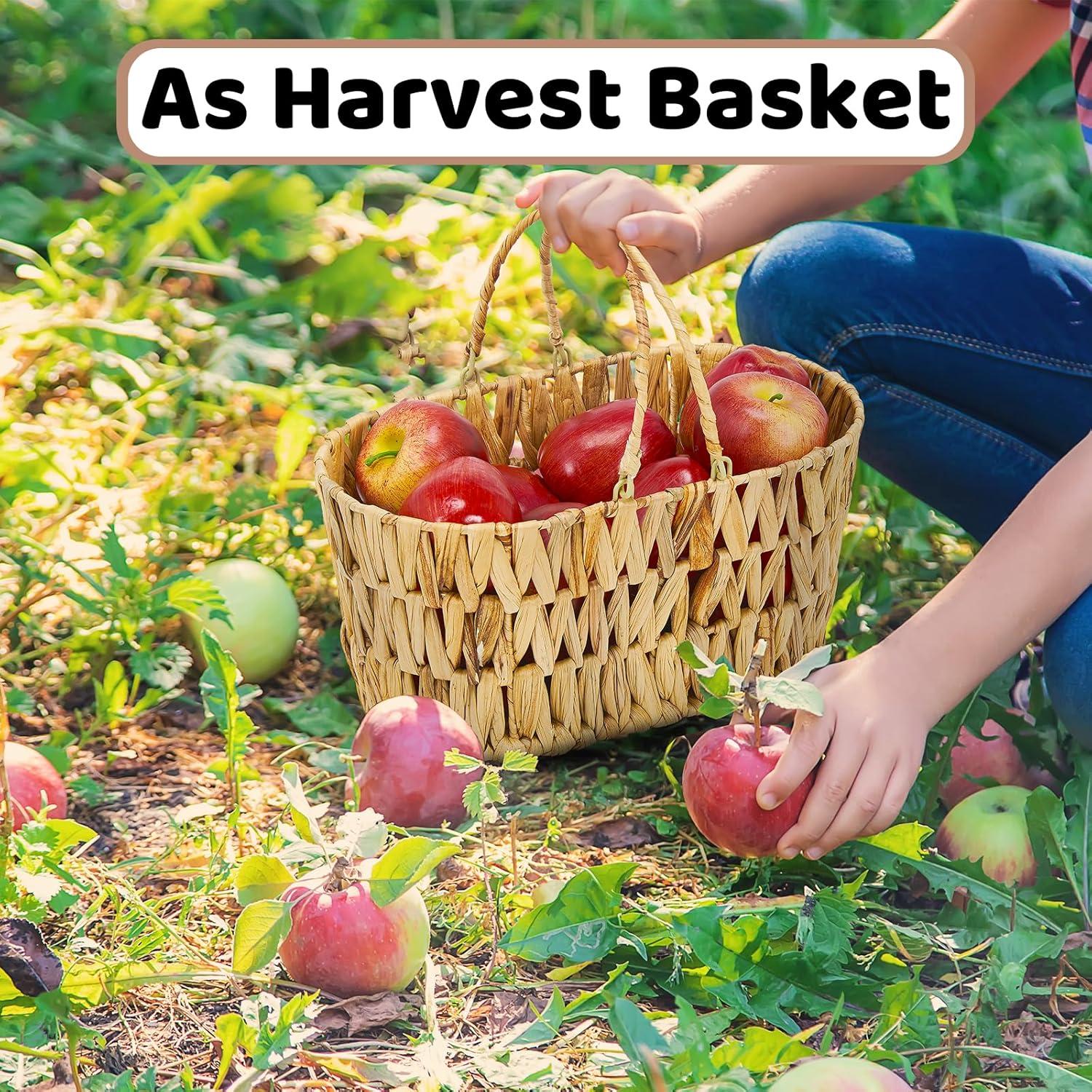 Cesta de Picnic Edergoo 2 Paquetes Mimbre Natural 35x20x16.5cm