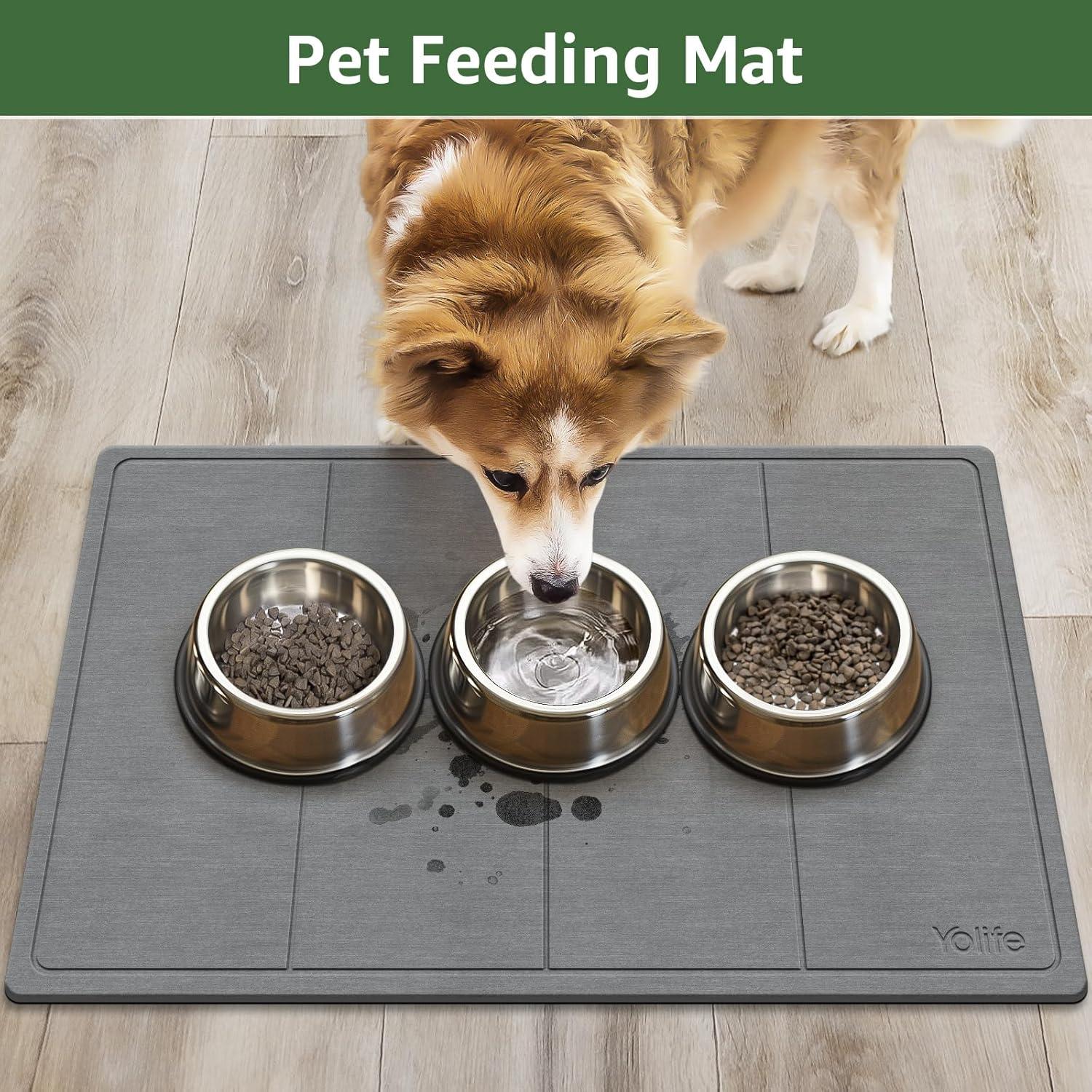 Alfombrilla de Secado de Piedra Yolife 60x39 cm Antideslizante