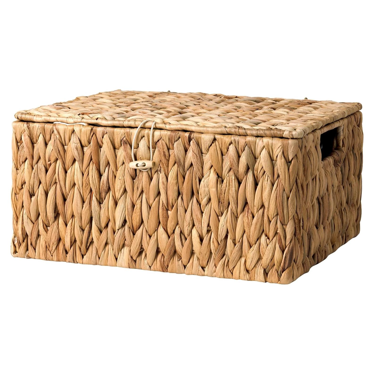 Cesta de Almacenamiento Grande StorageWorks con Tapa 38x28 cm