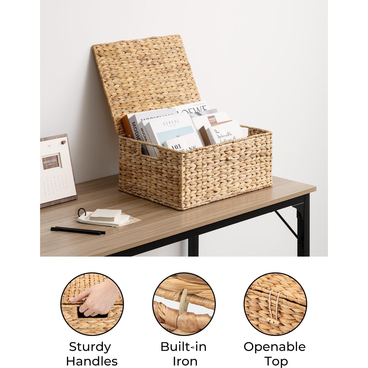 Cesta de Almacenamiento Grande StorageWorks con Tapa 38x28 cm