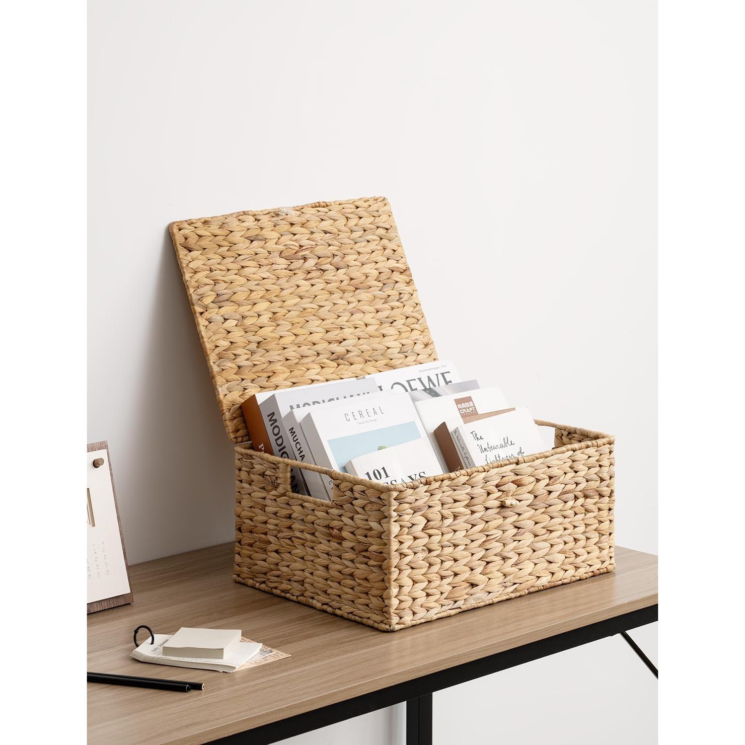 Cesta de Almacenamiento Grande StorageWorks con Tapa 38x28 cm