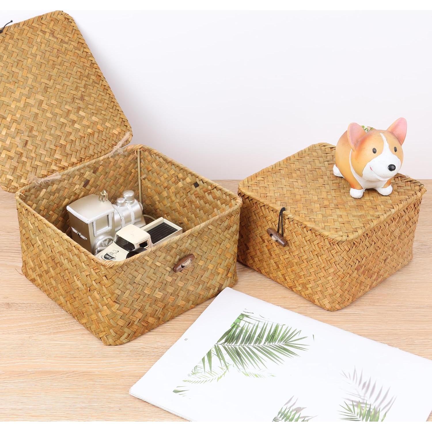 Cestas de Almacenamiento Moosky de Mimbre Natural - Juego de 4