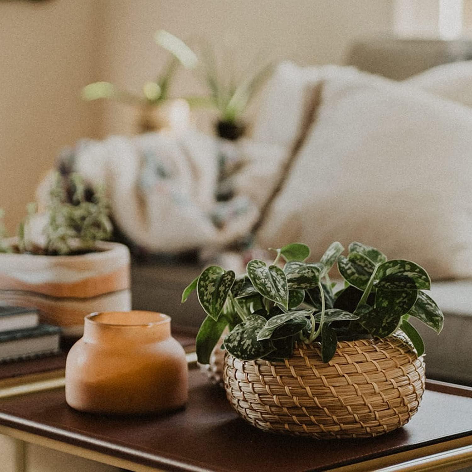 Conjunto de 3 Cestas de Mimbre Dicunoy con Tapa - Almacenamiento