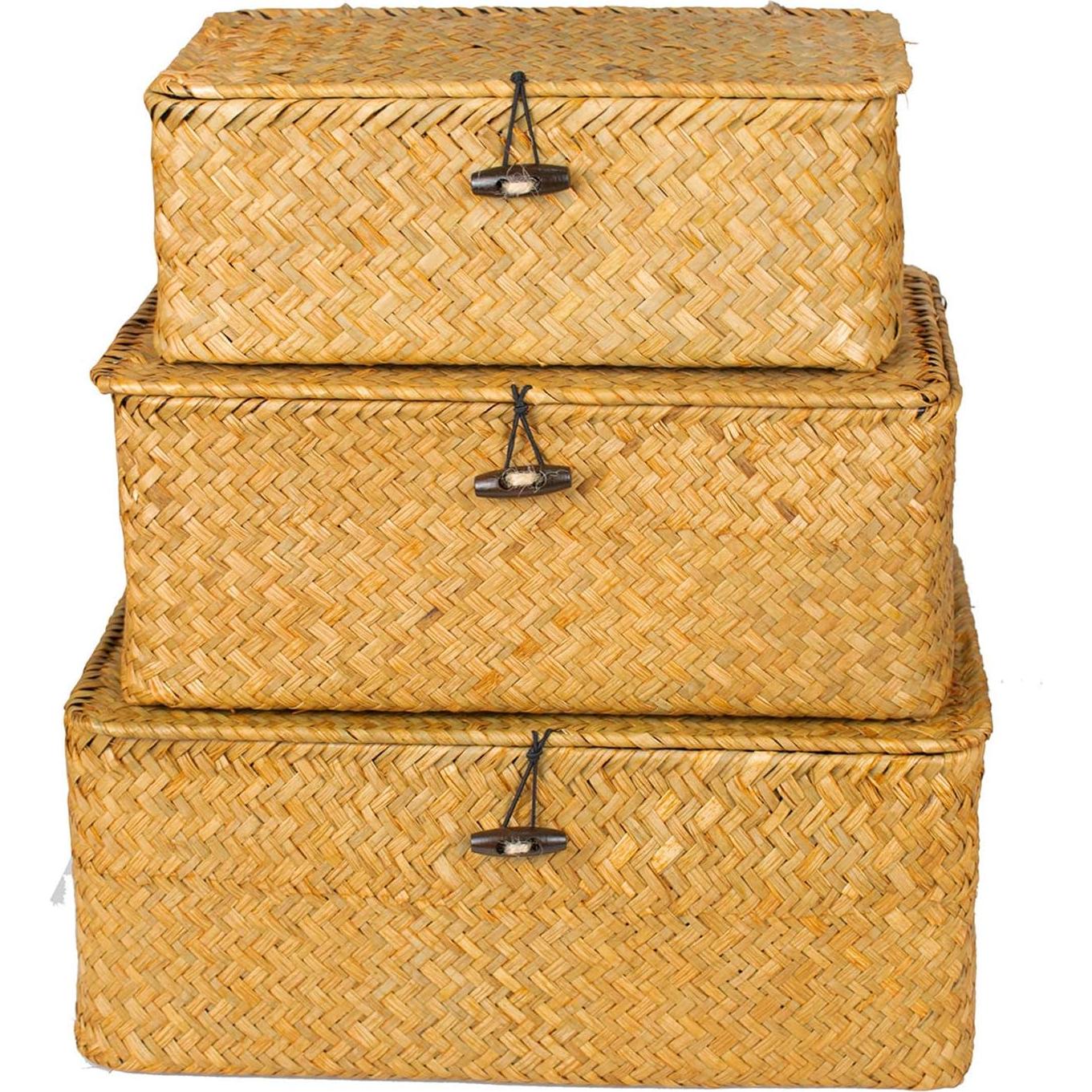 Conjunto de 3 cestas de almacenamiento Yesland con tapa